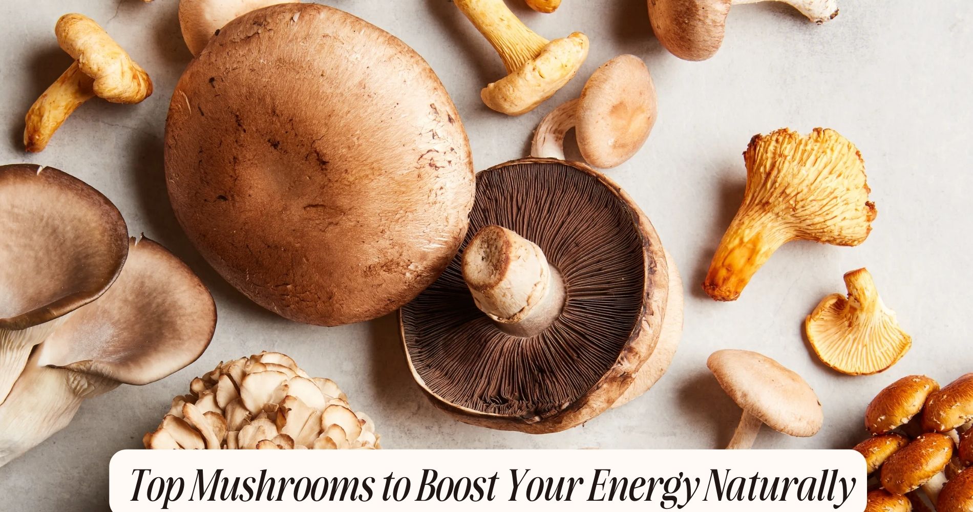 best mushrooms for energy