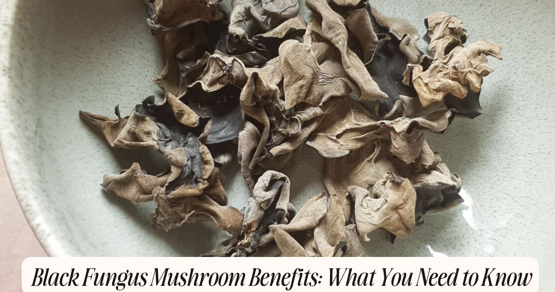 black fungus mushroom benefits