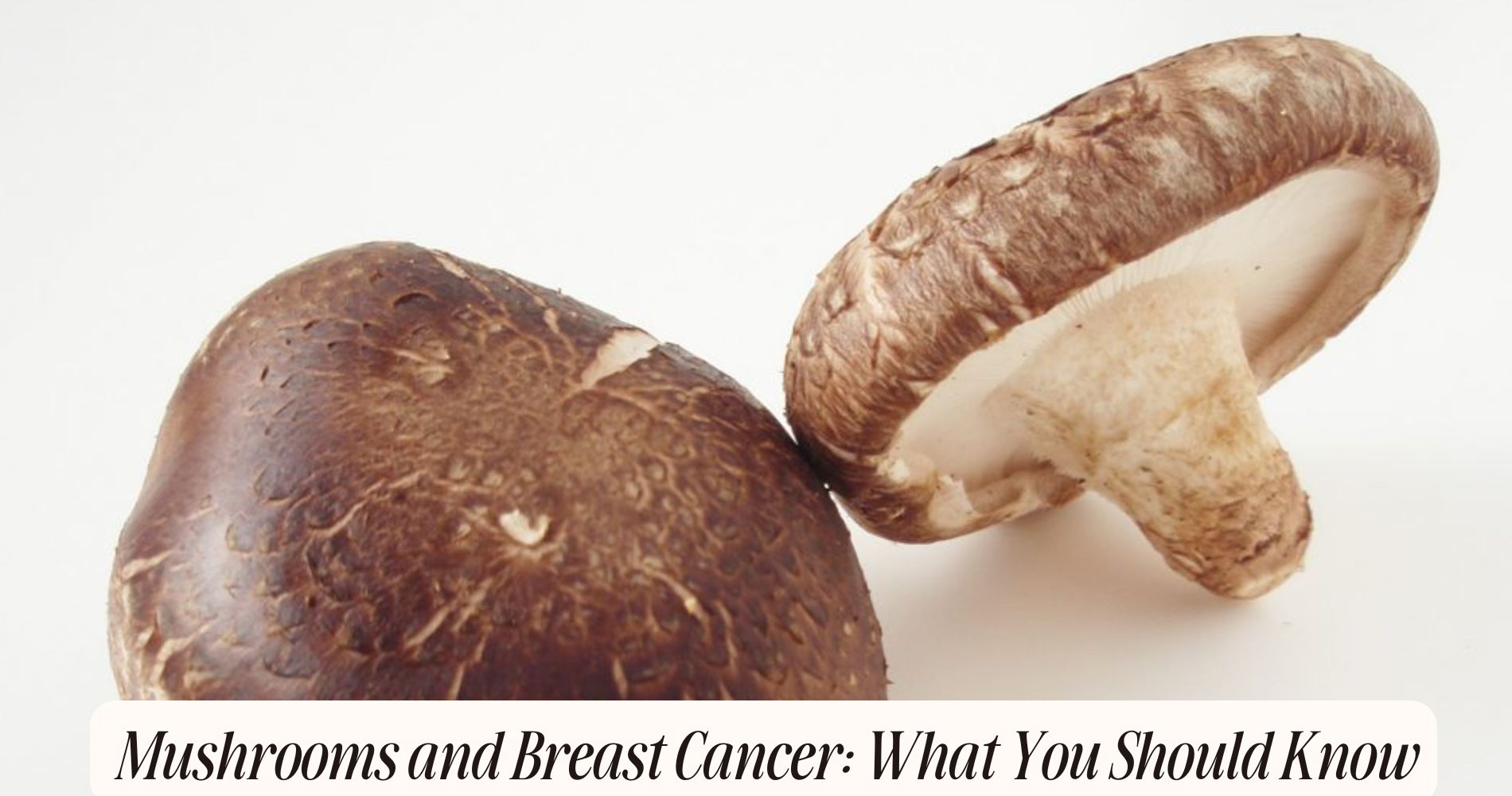 mushrooms and breast cancer