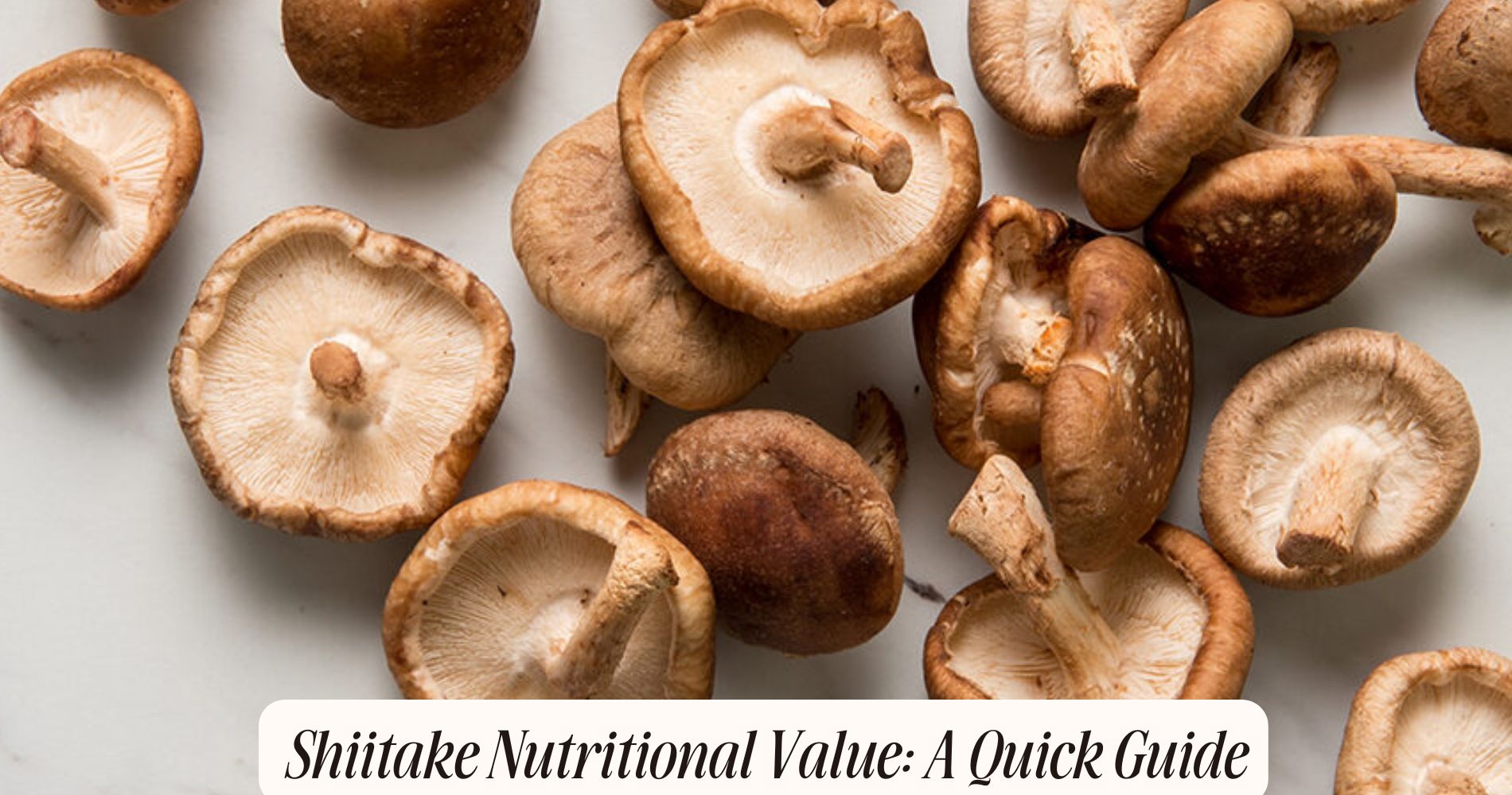 shiitake nutritional value