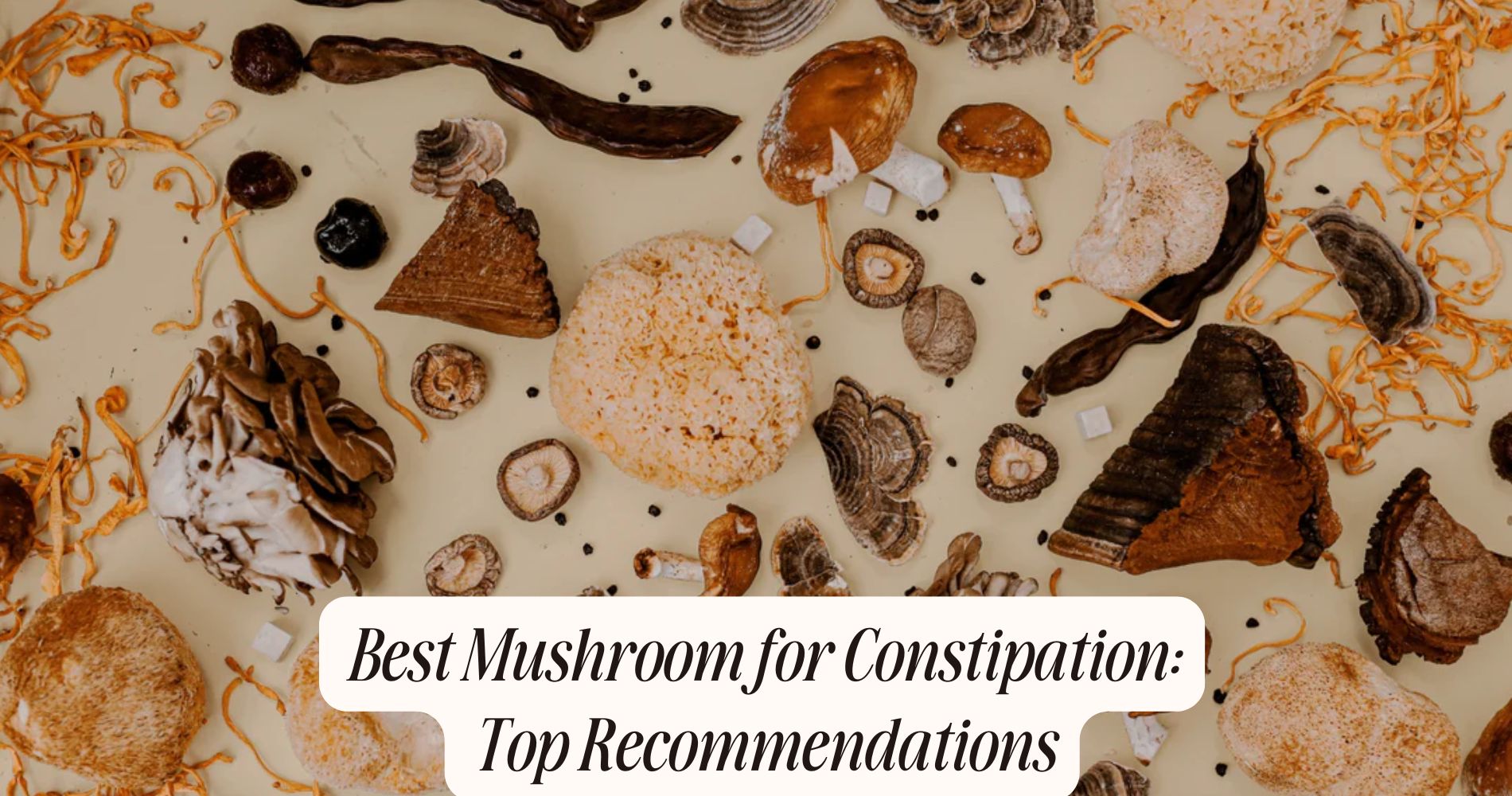 best mushroom for constipation