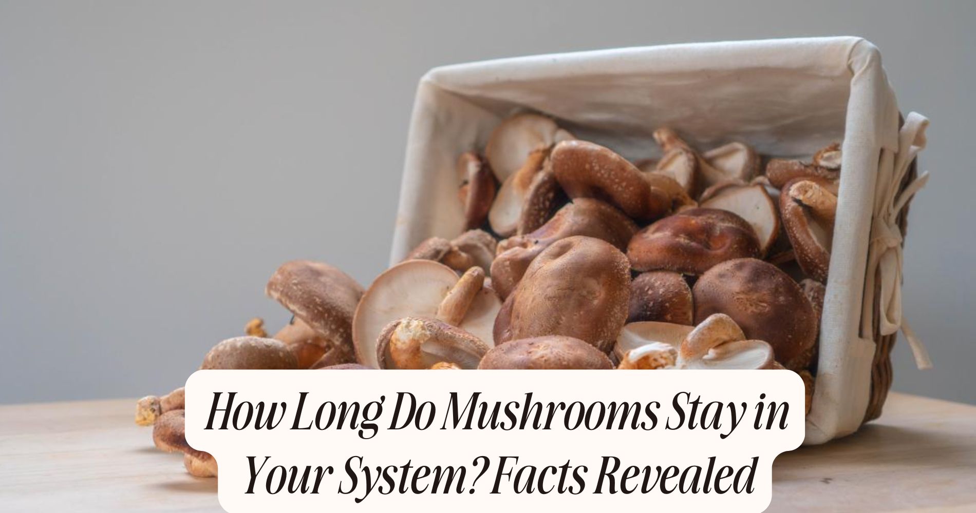 how long do mushrooms stay in your system