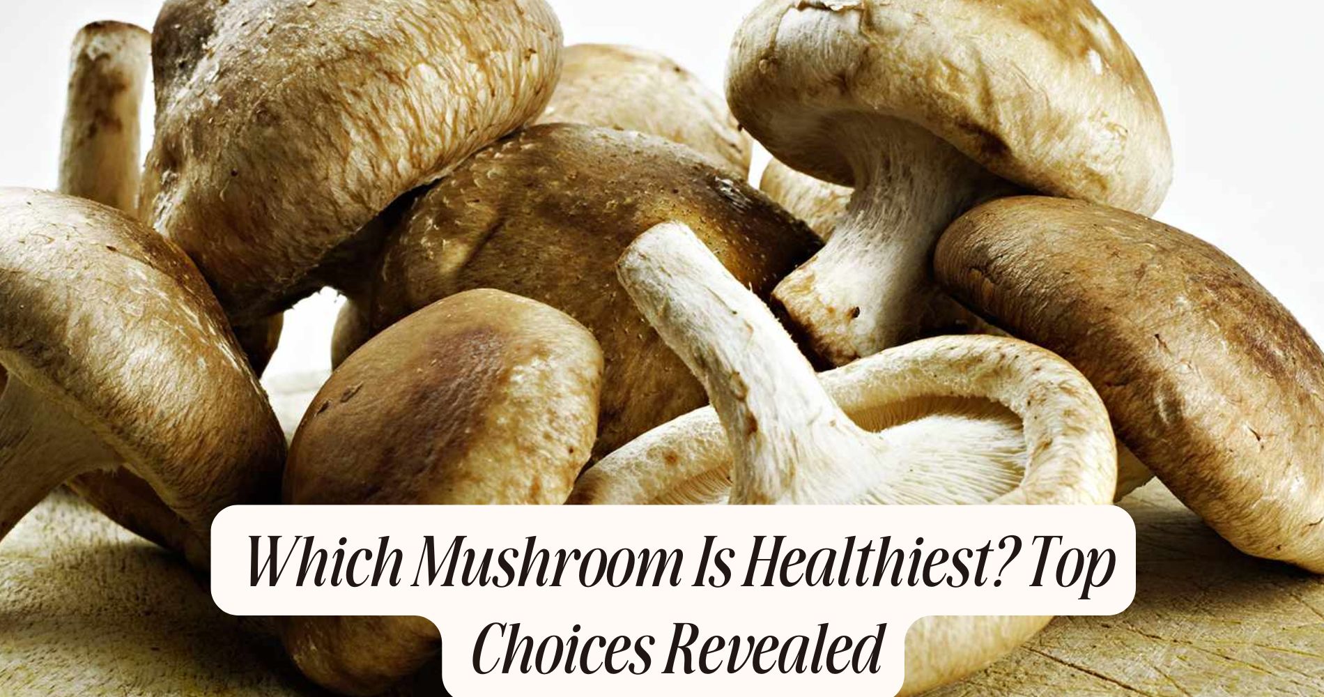 which mushroom is healthiest