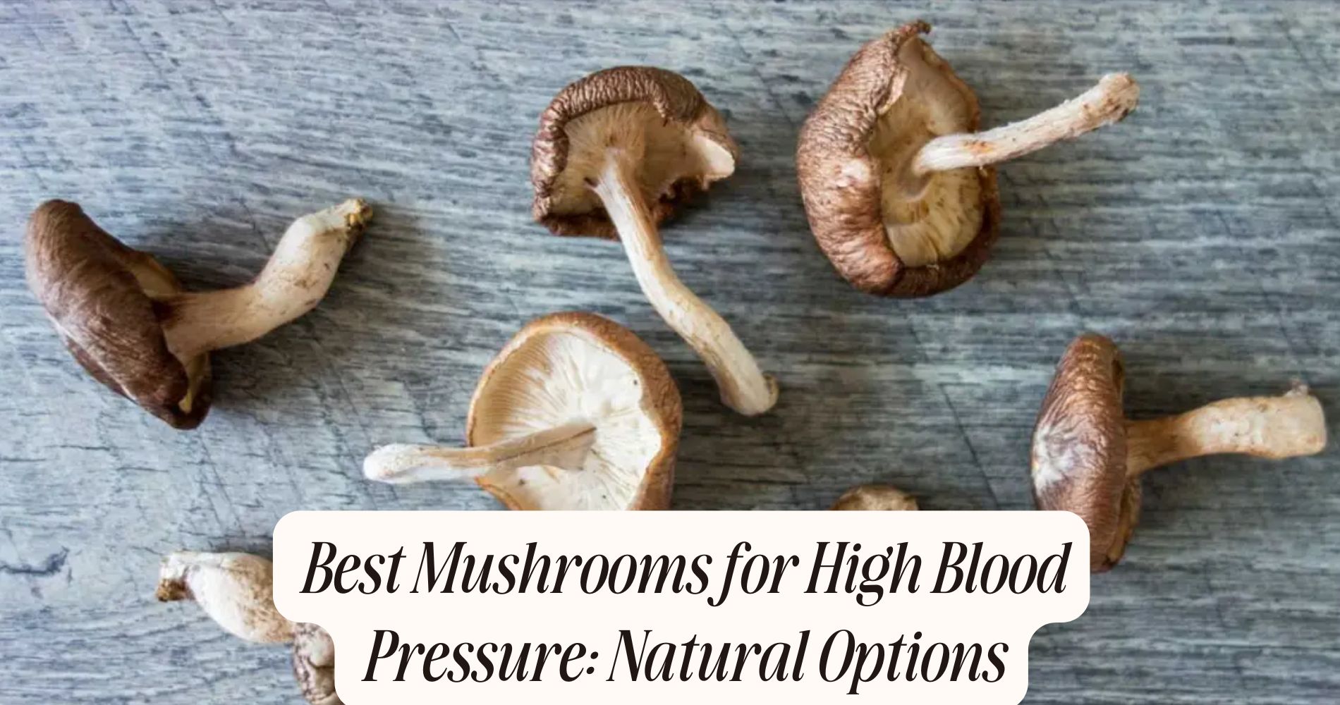 best mushrooms for high blood pressure