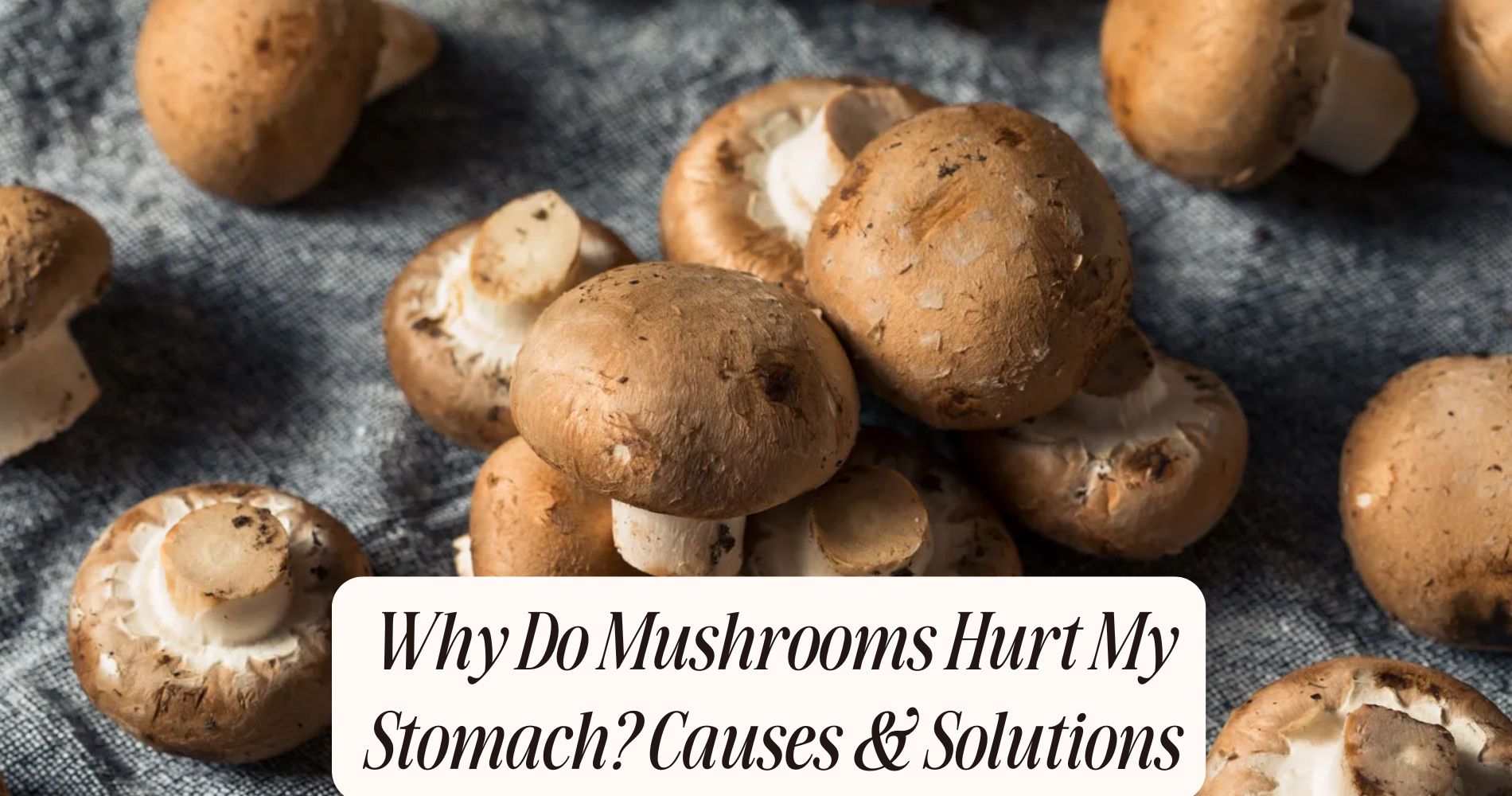 why do mushrooms hurt my stomach