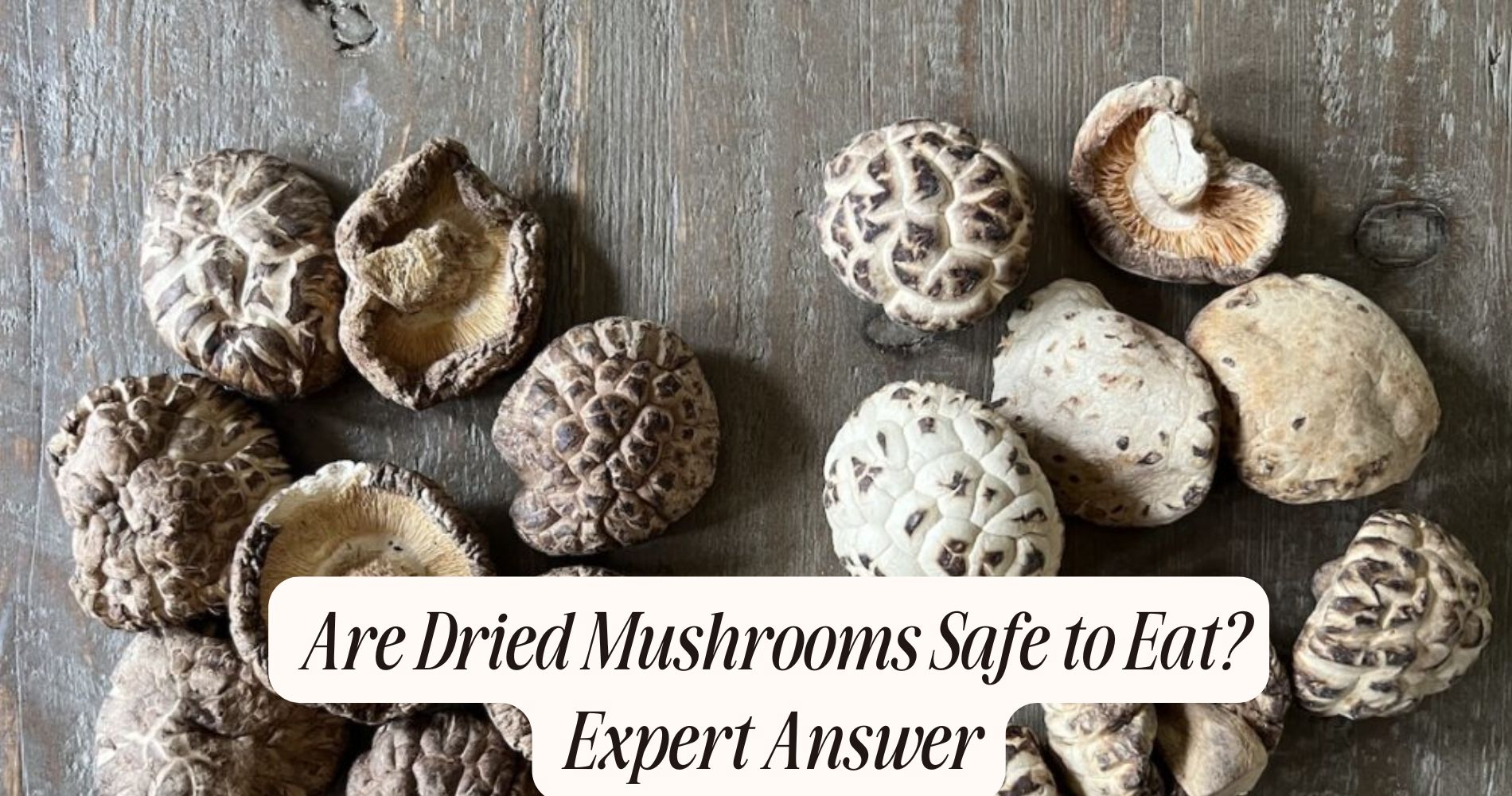 are dried mushrooms safe to eat