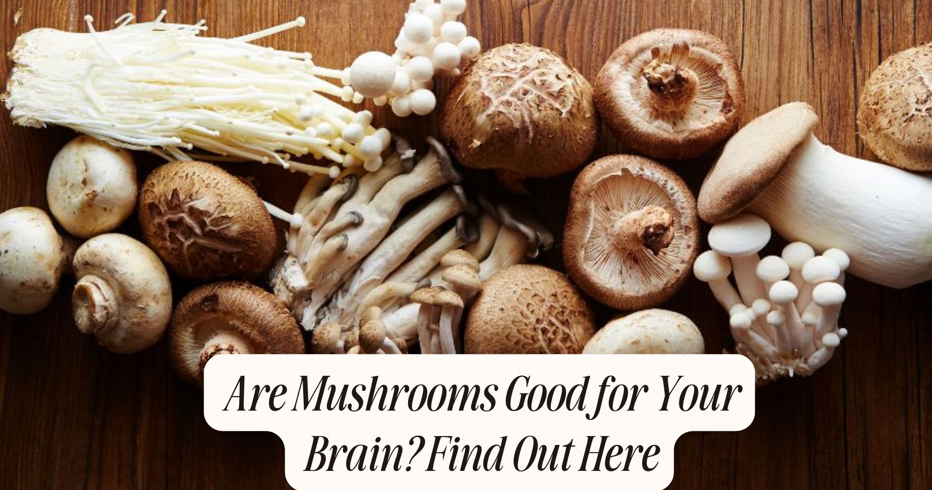 are mushrooms good for your brain