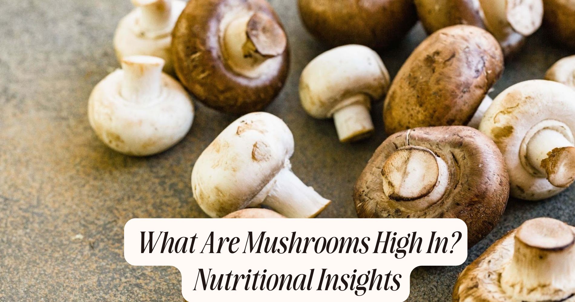 what are mushrooms high in