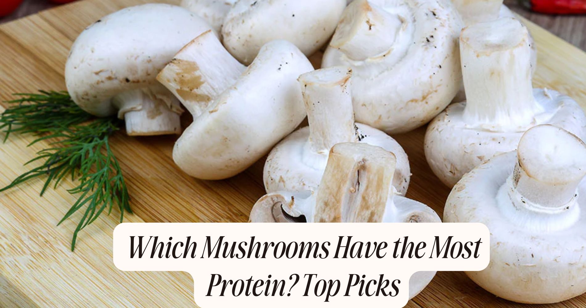 which mushrooms have the most protein