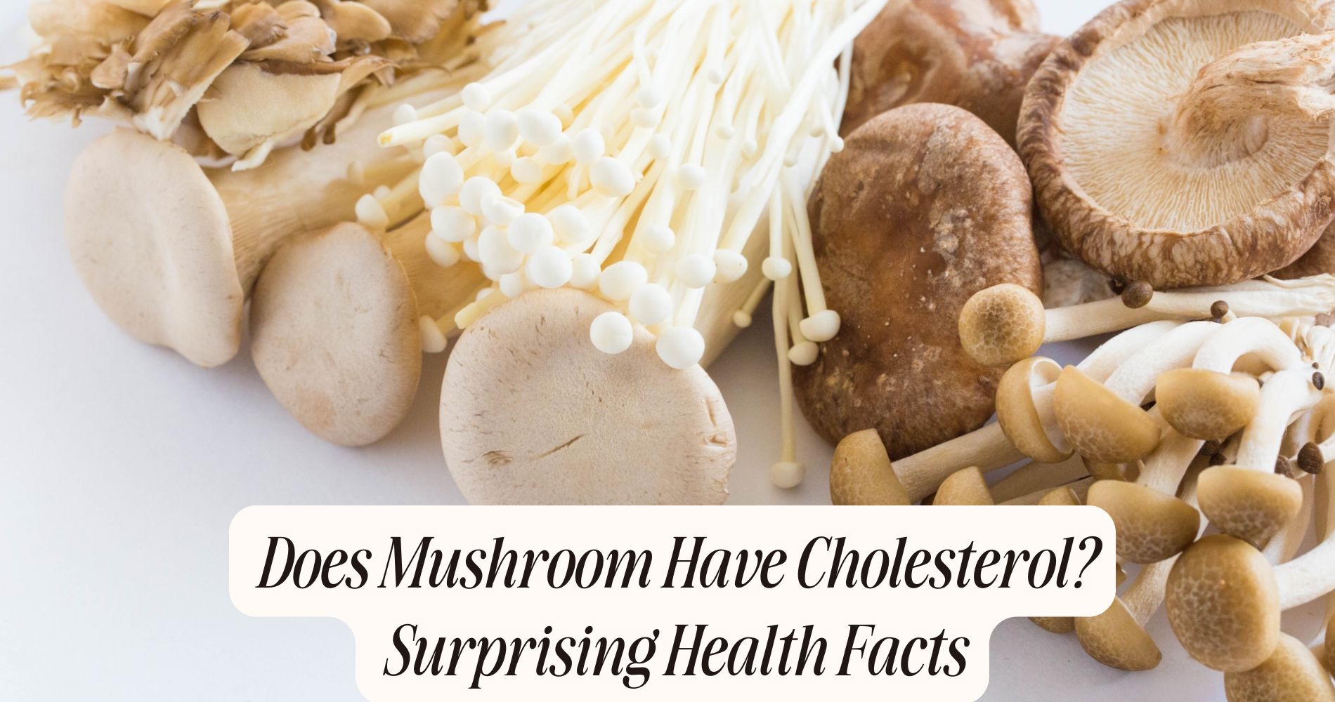 does mushroom have cholesterol