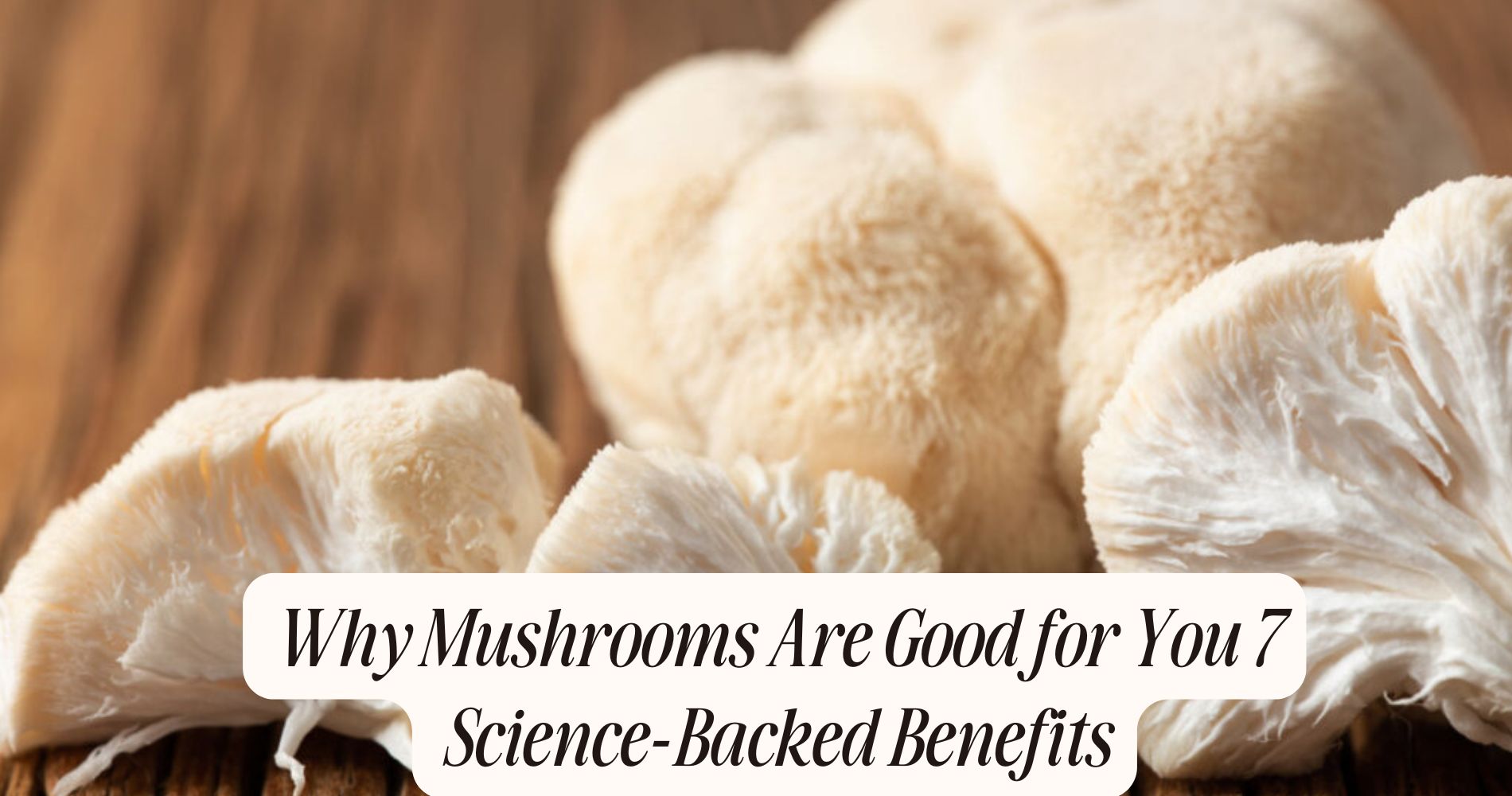 why mushrooms are good for you