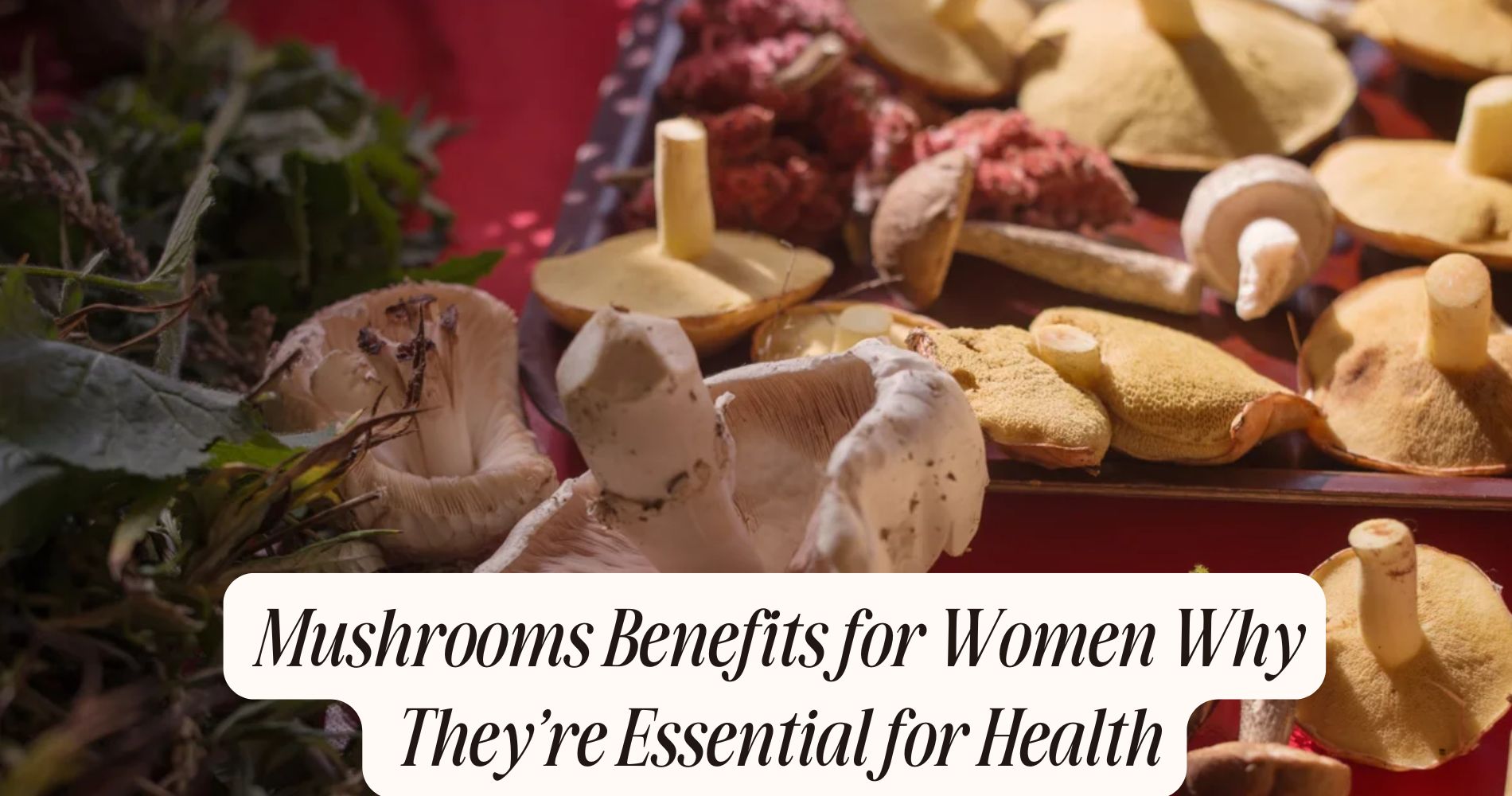 mushrooms benefits for women