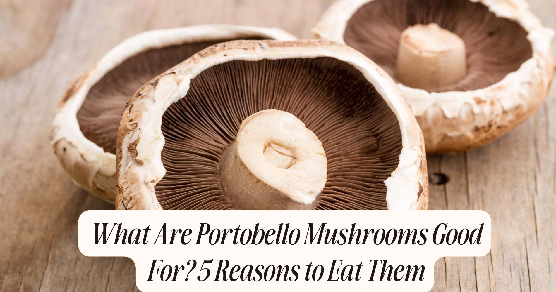 what are portobello mushrooms good for
