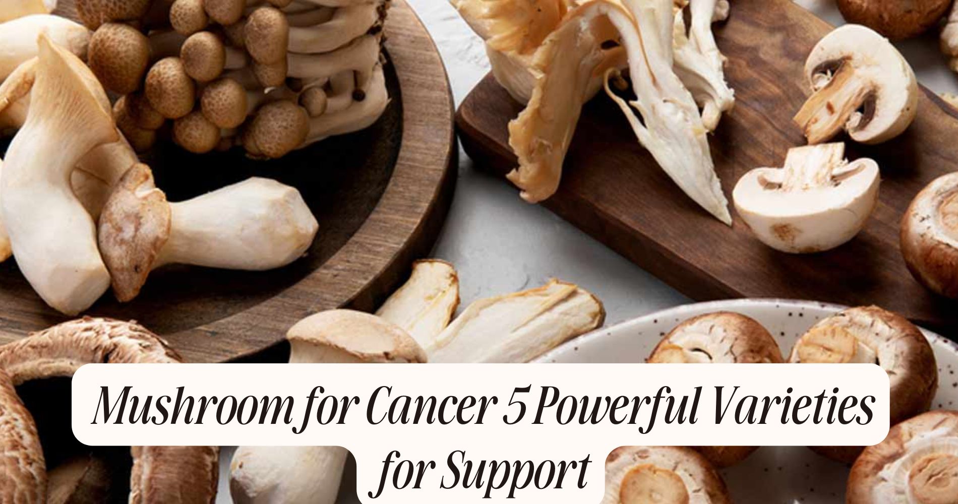 mushroom for cancer