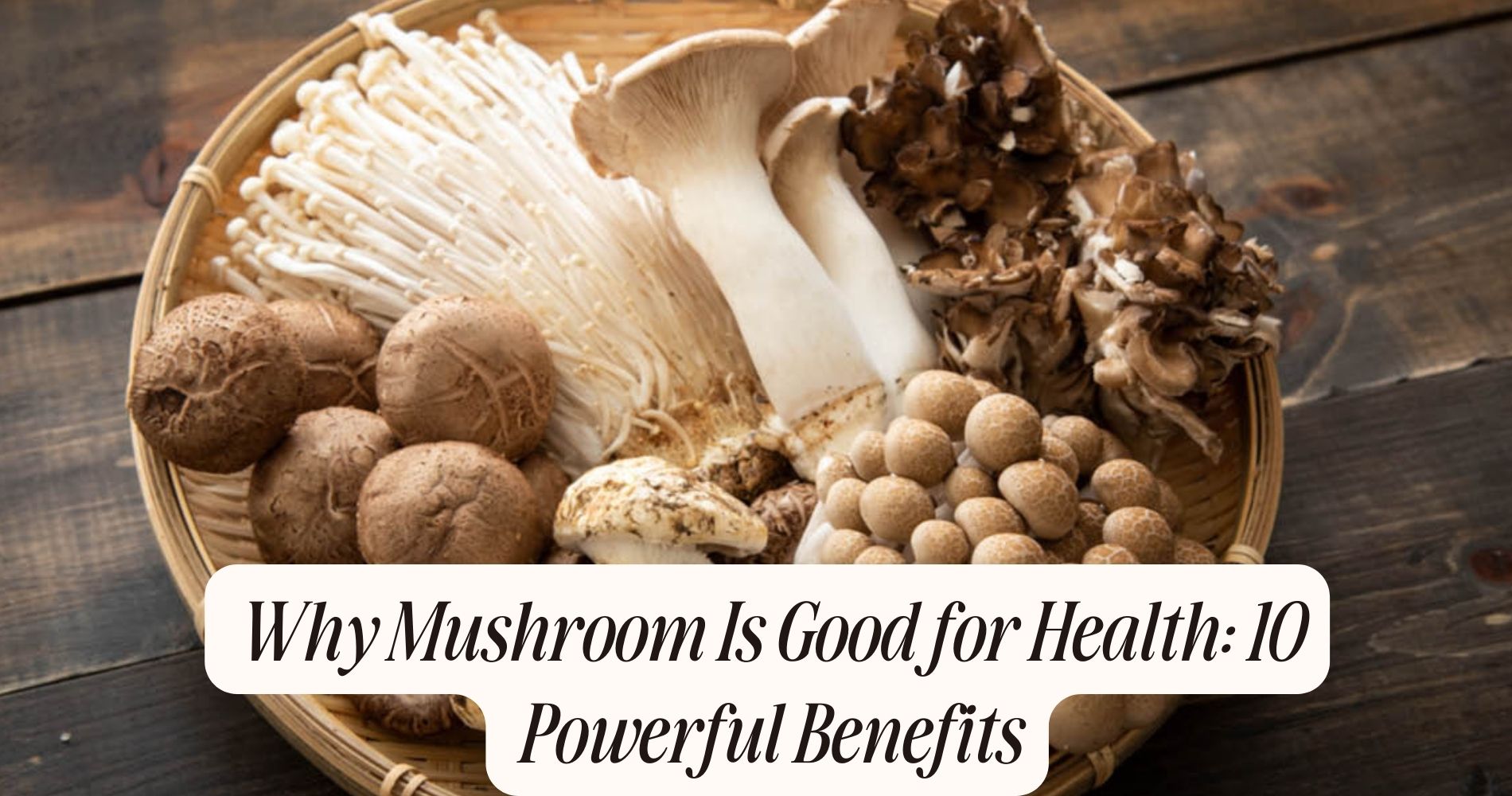 why mushroom is good for health