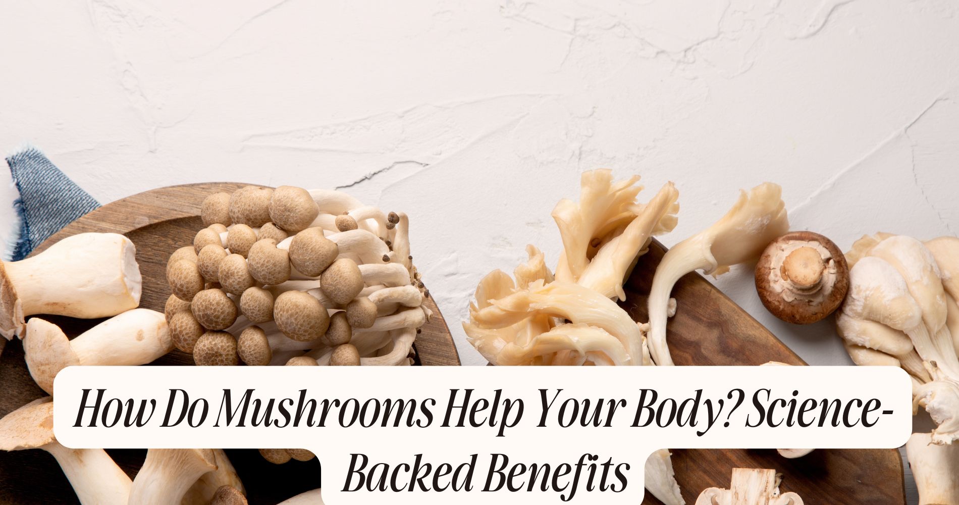 how do mushrooms help your body