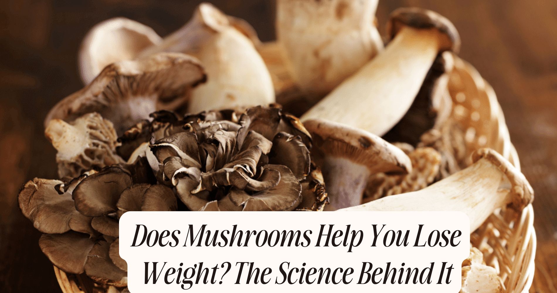 does mushrooms help you lose weight