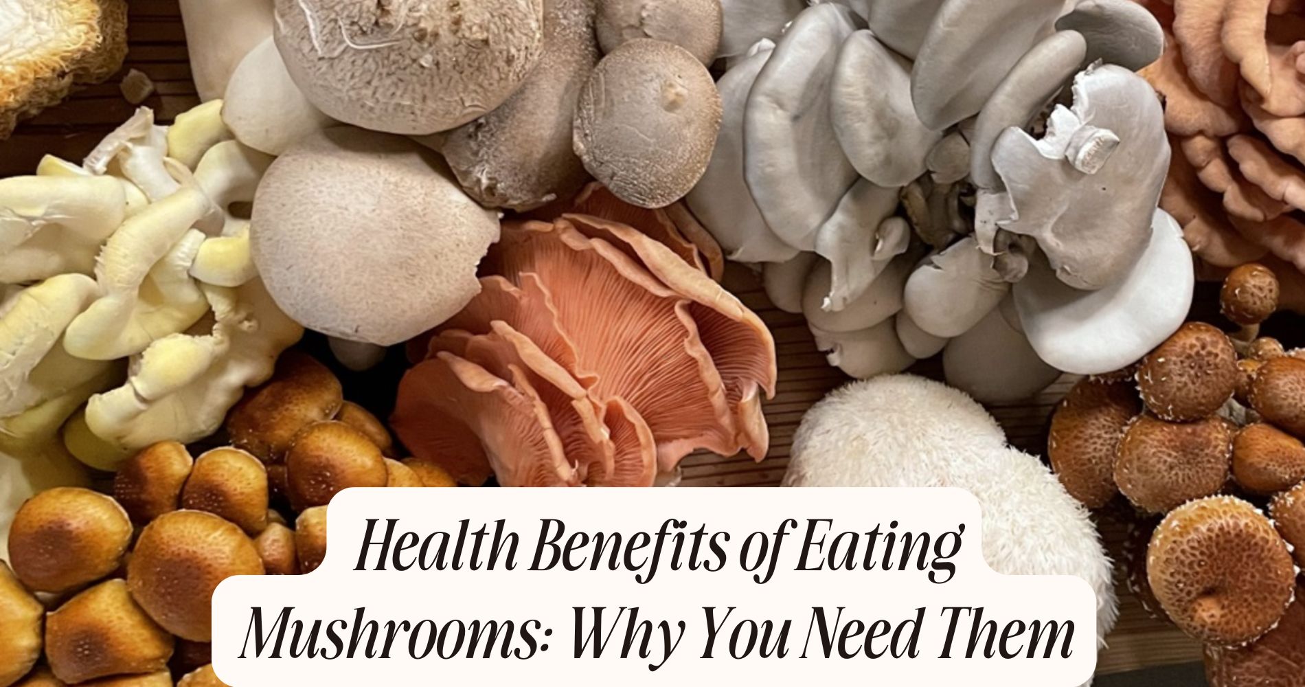 health benefits of eating mushrooms