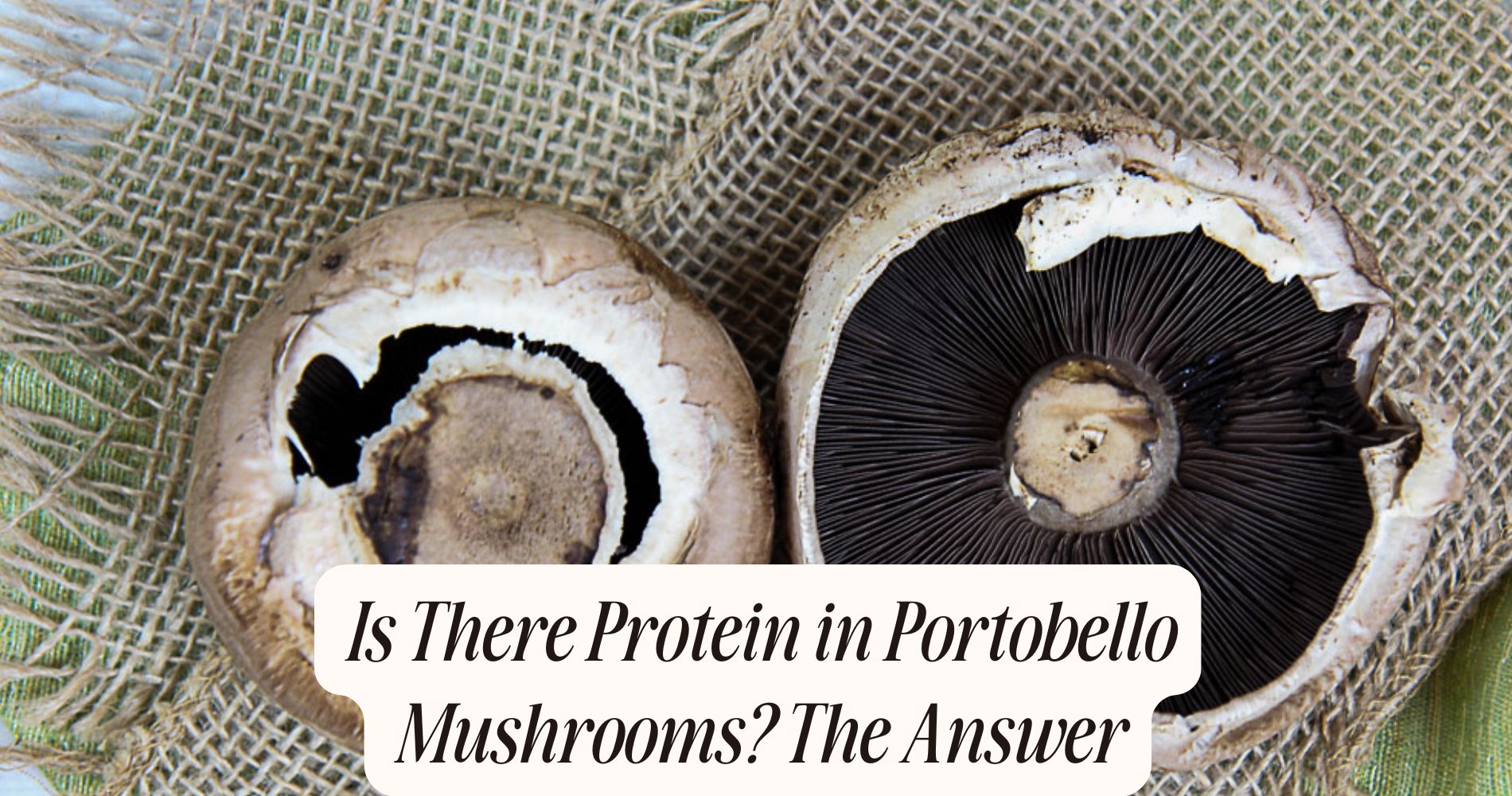is there protein in portobello mushrooms