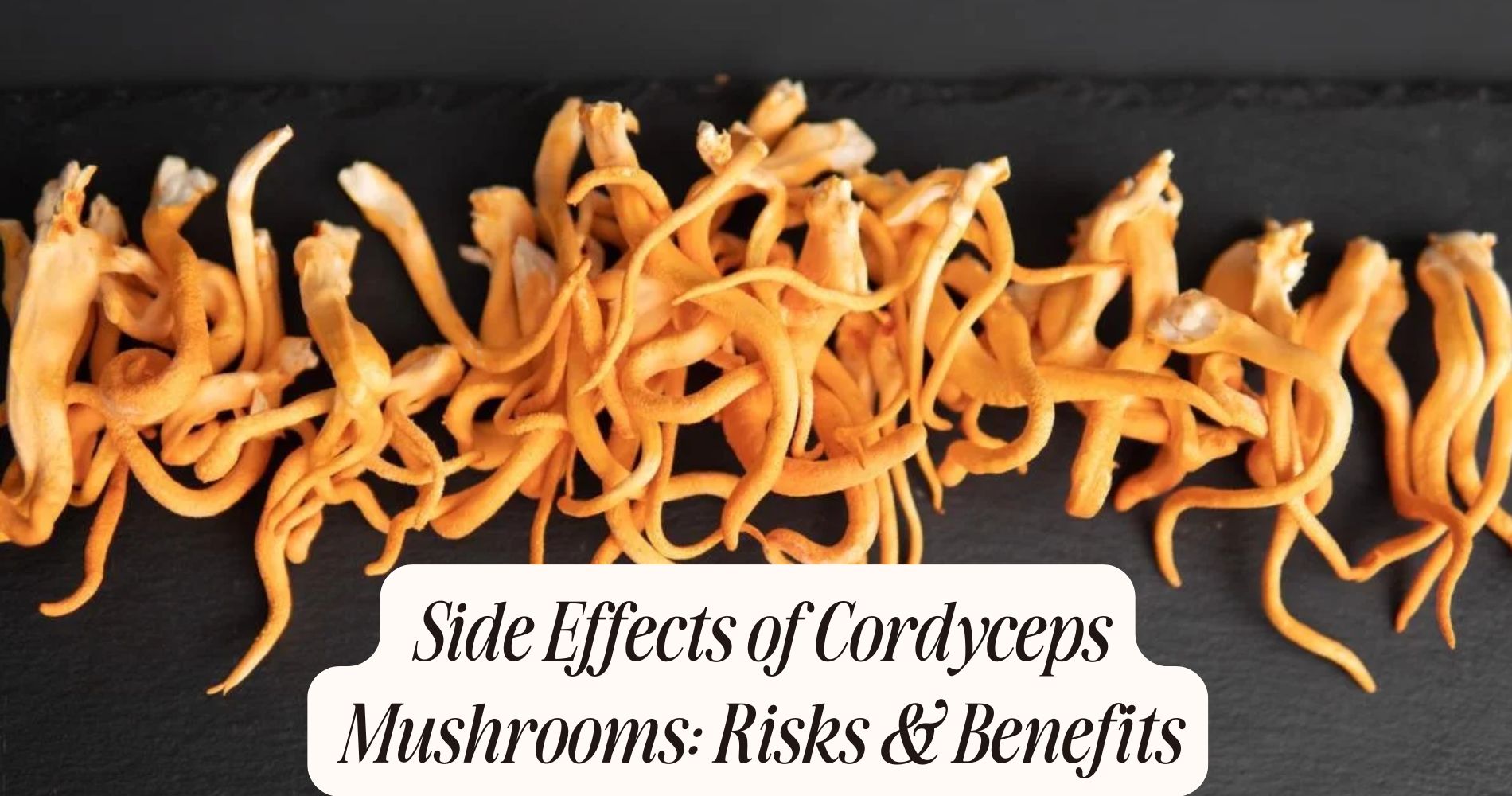 side effects of cordyceps mushrooms