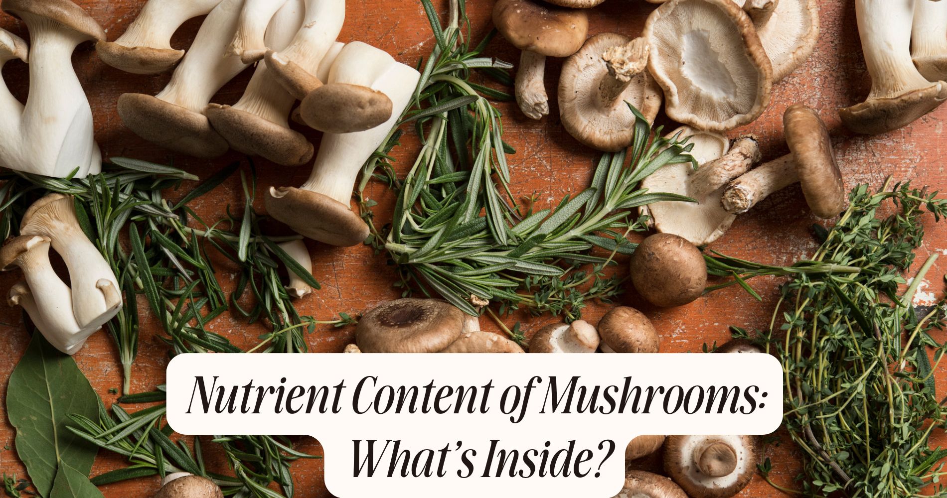 nutrient content of mushrooms