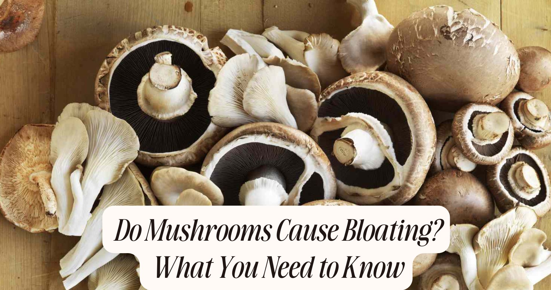 do mushrooms cause bloating