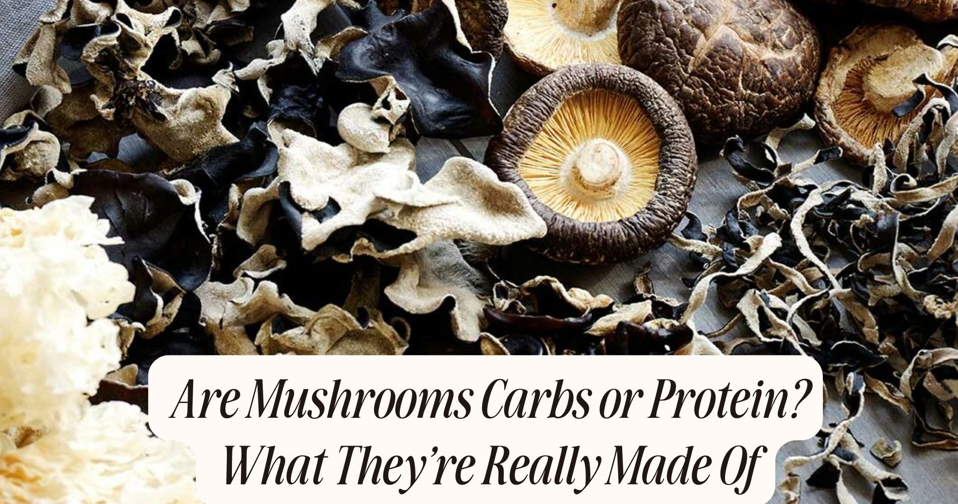 are mushrooms carbs or protein