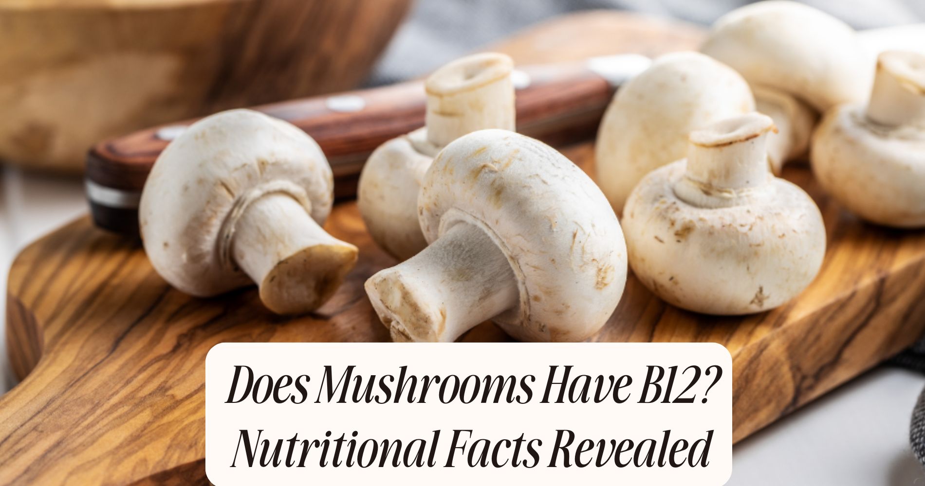 does mushrooms have b12