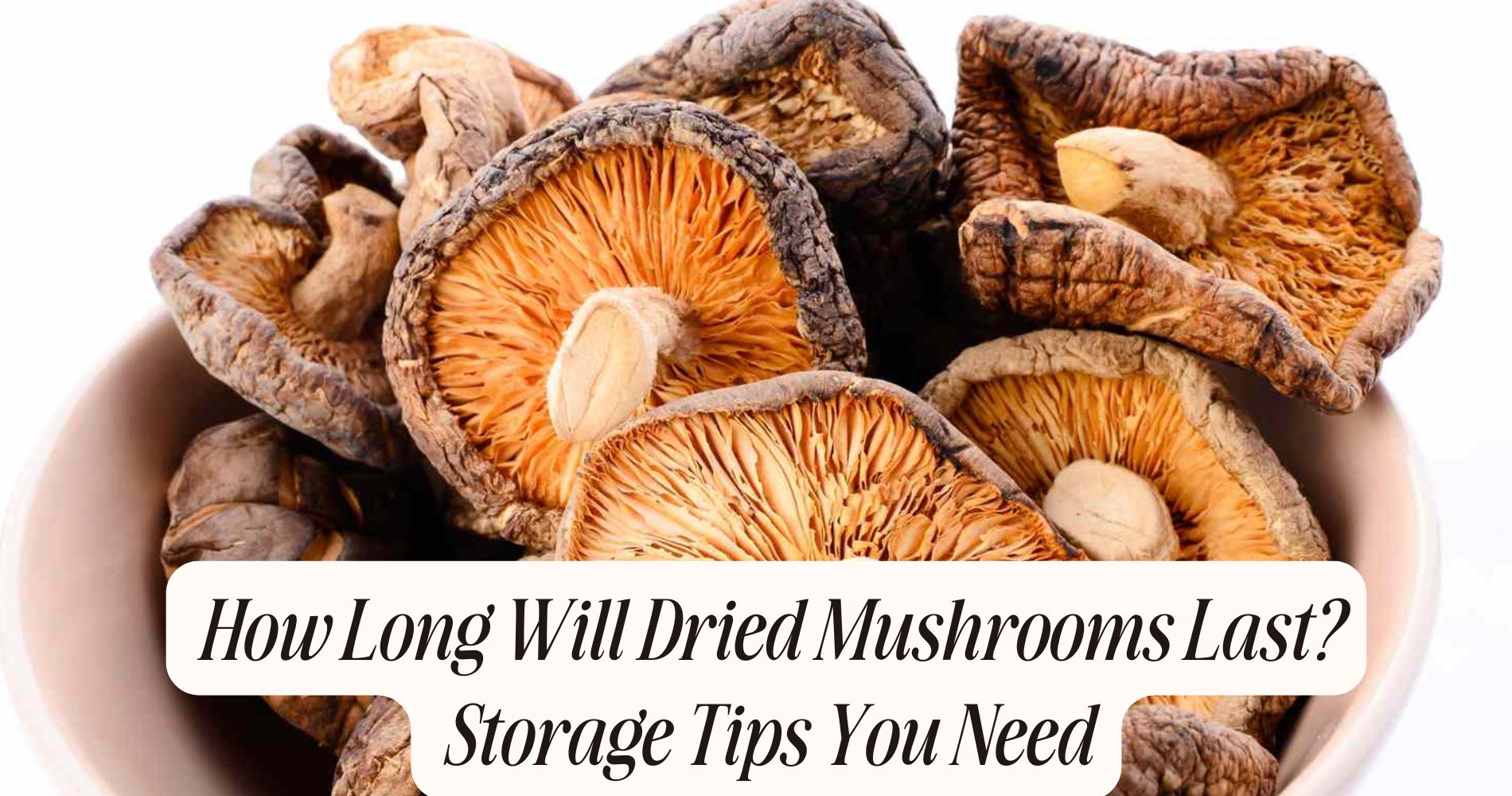 how long will dried mushrooms last