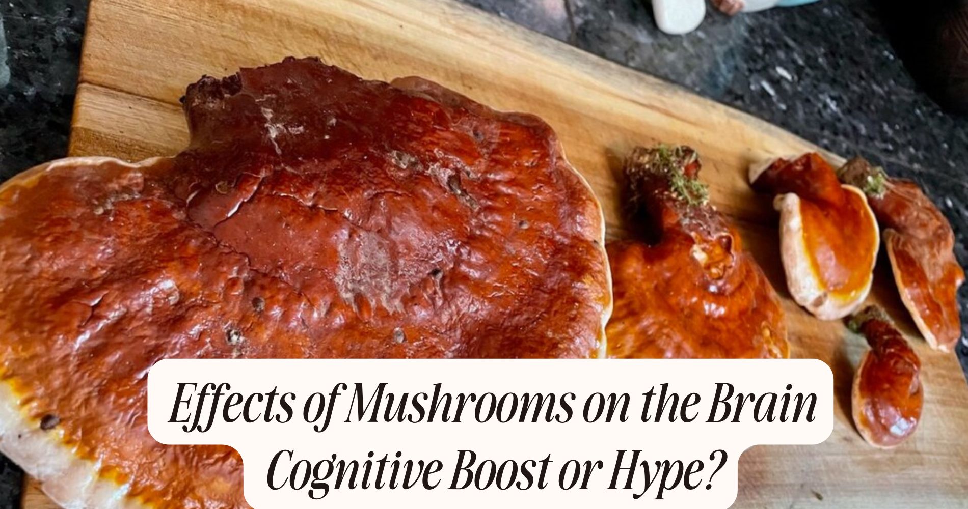 effects of mushrooms on the brain