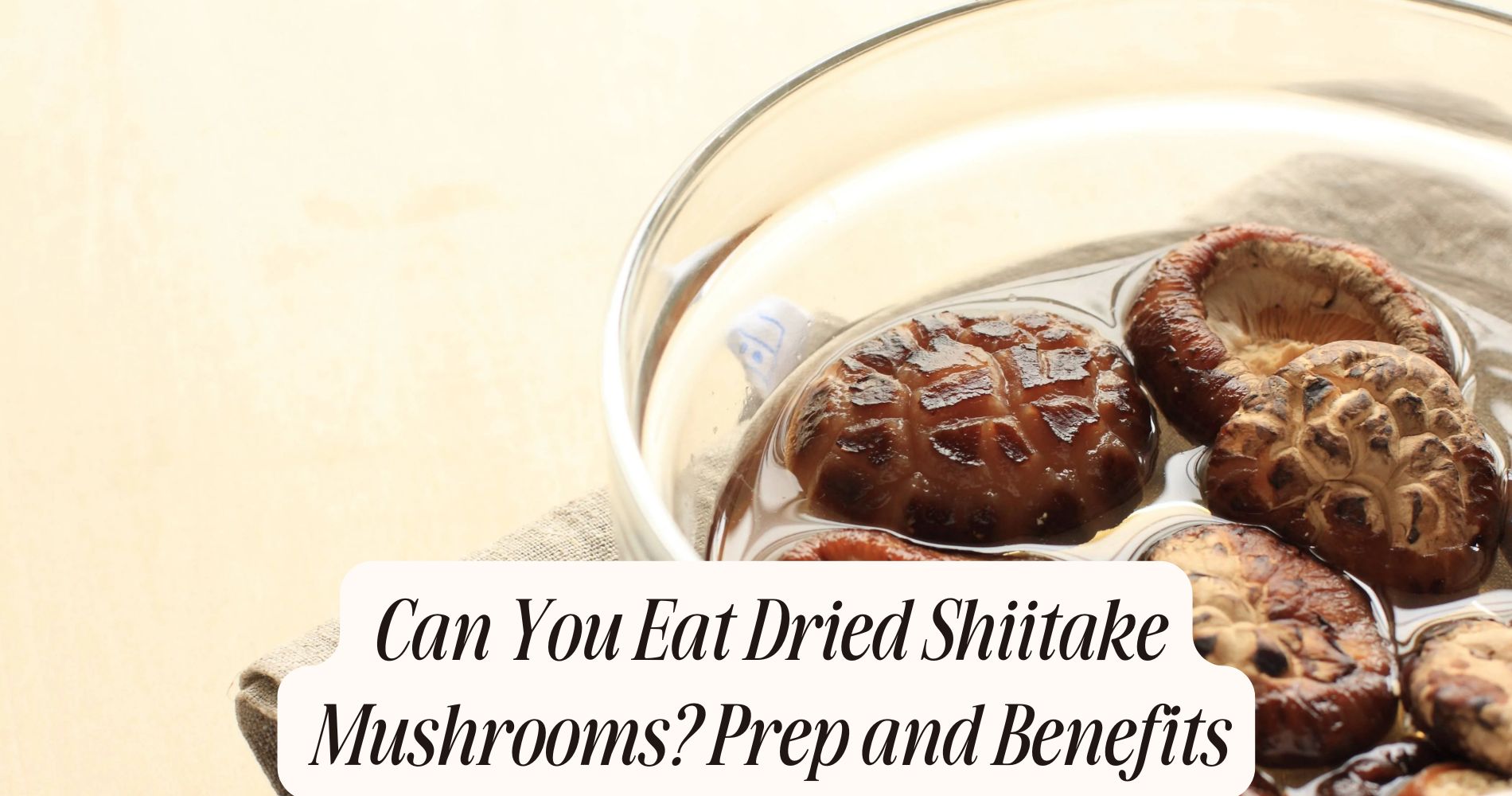 can you eat dried shiitake mushrooms