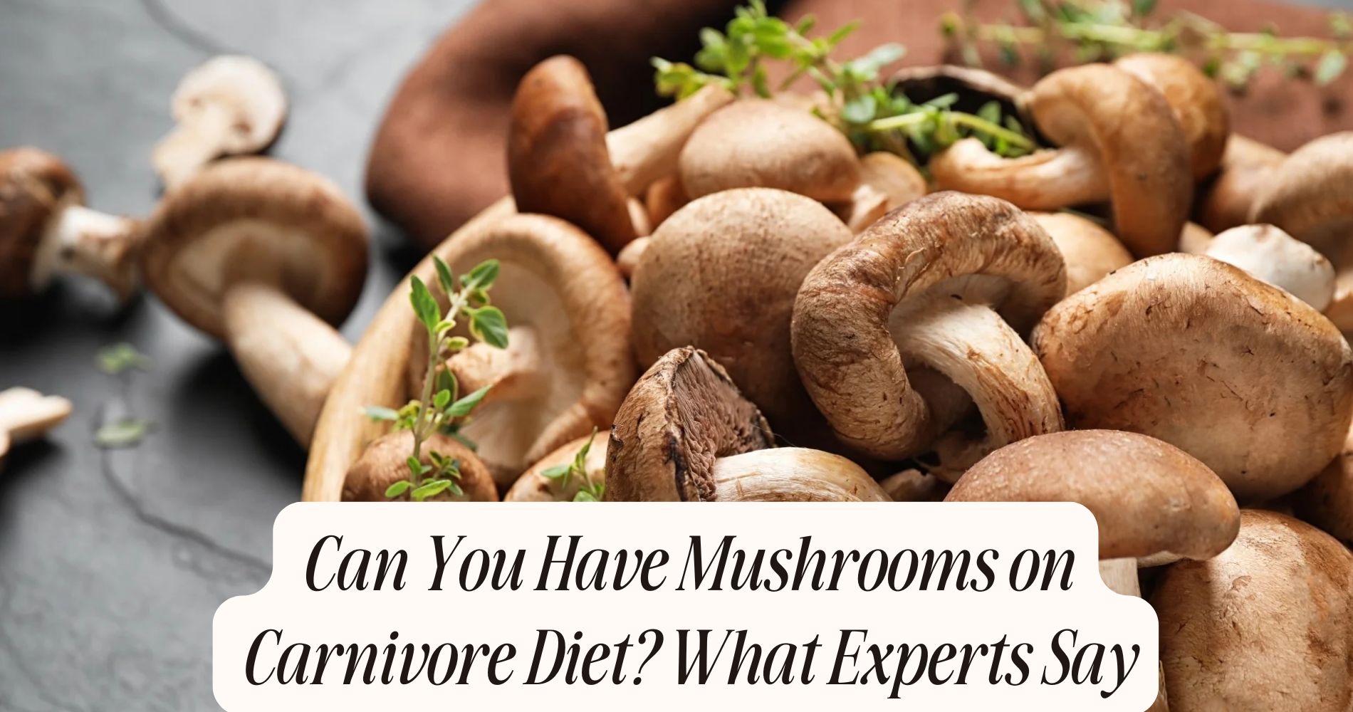 can you have mushrooms on carnivore diet