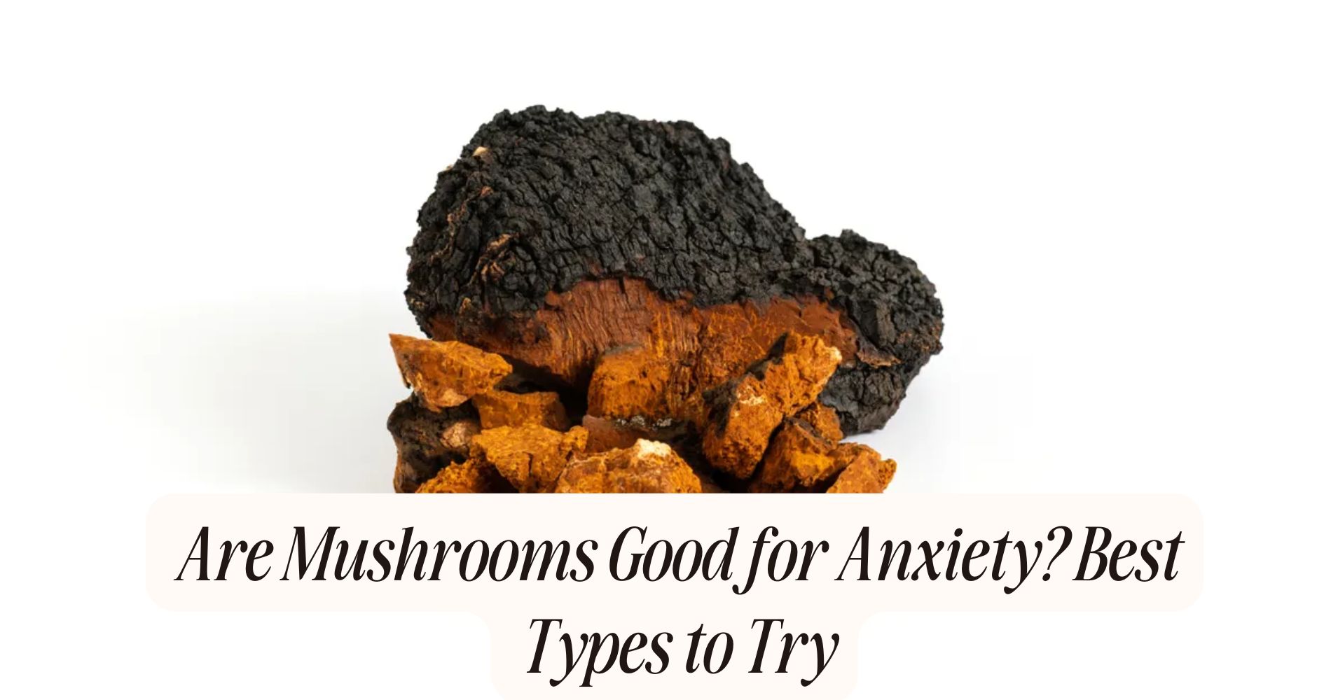 are mushrooms good for anxiety