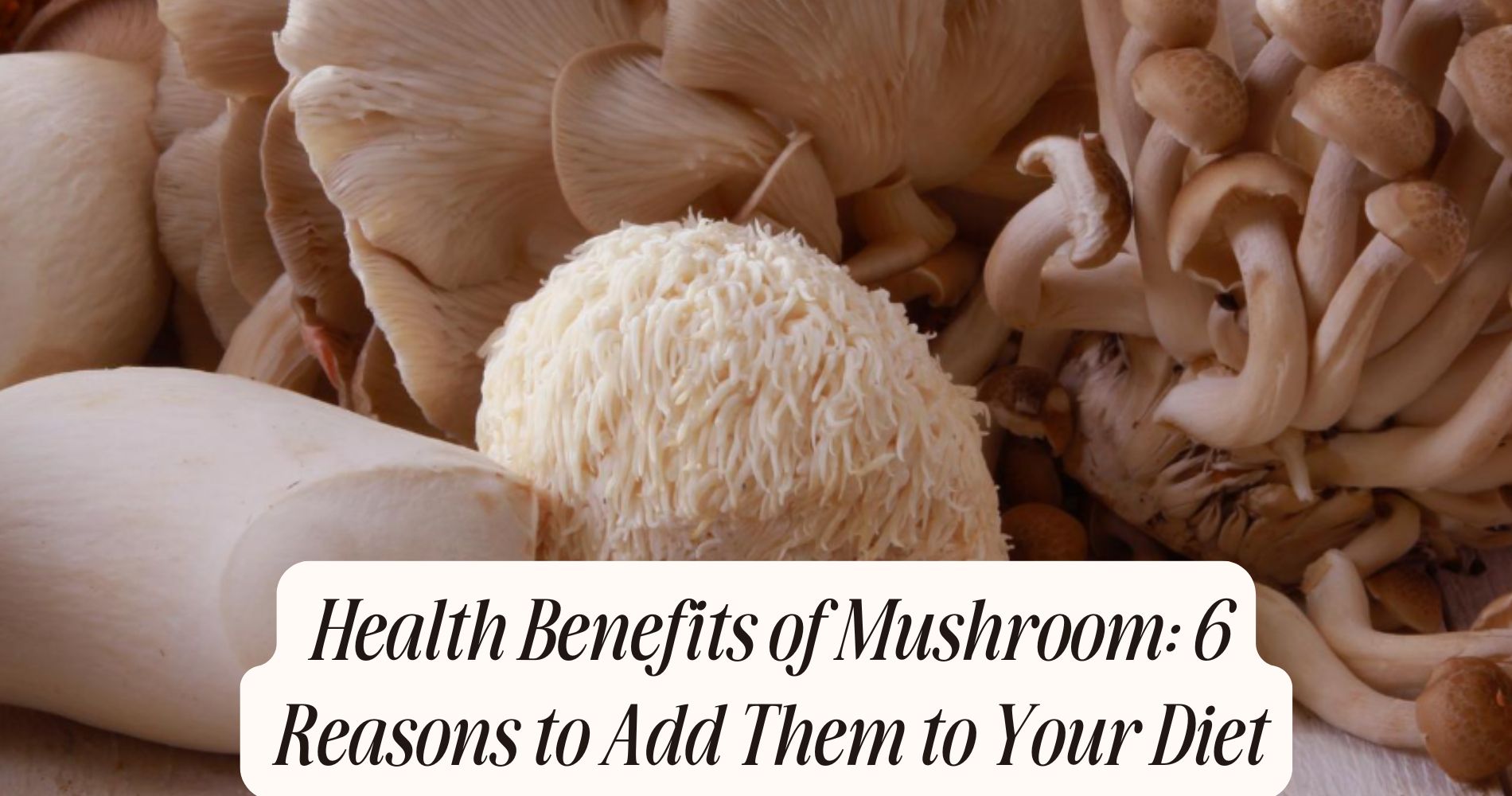 health benefits of mushroom