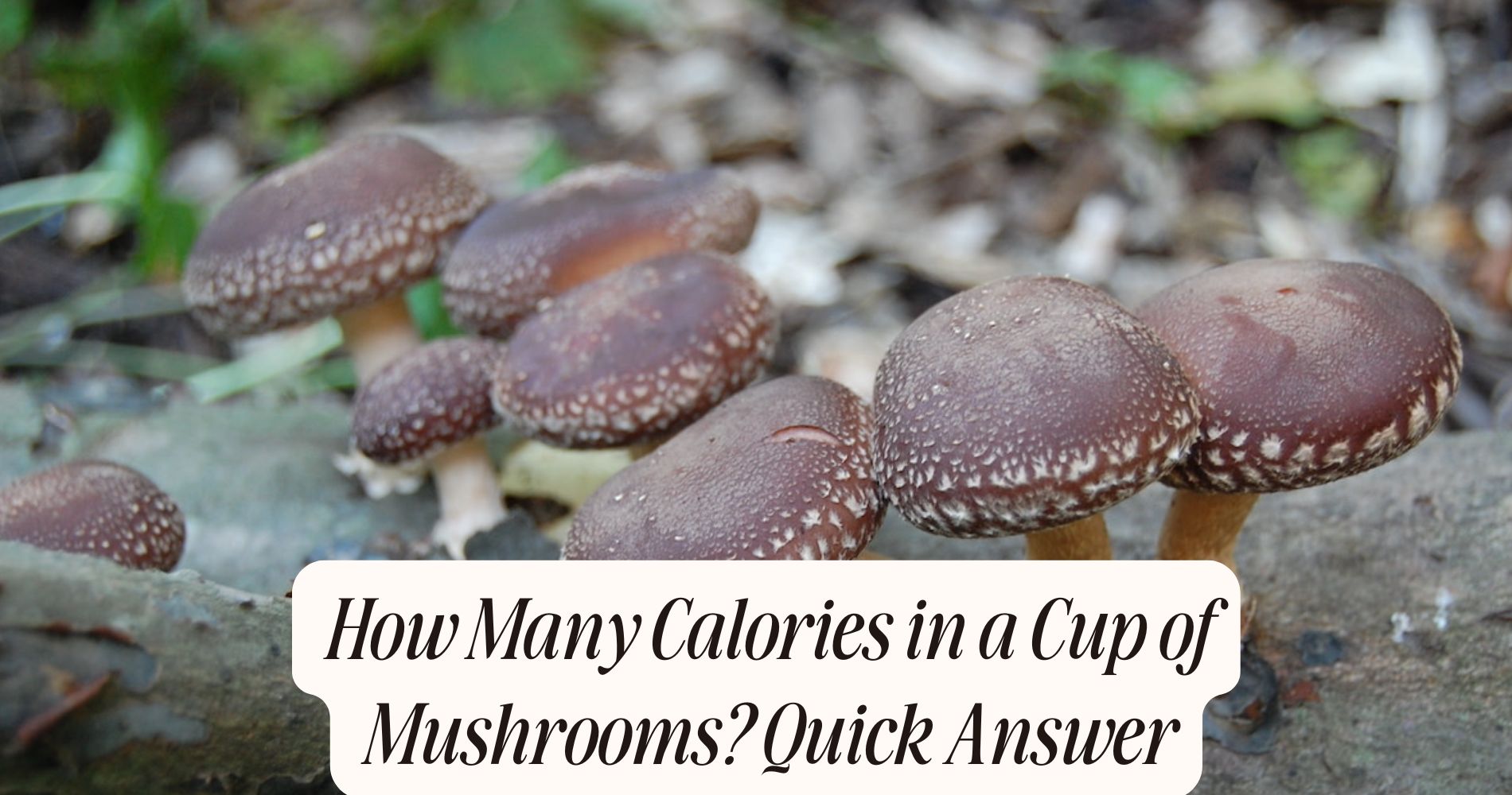 how many calories in a cup of mushrooms