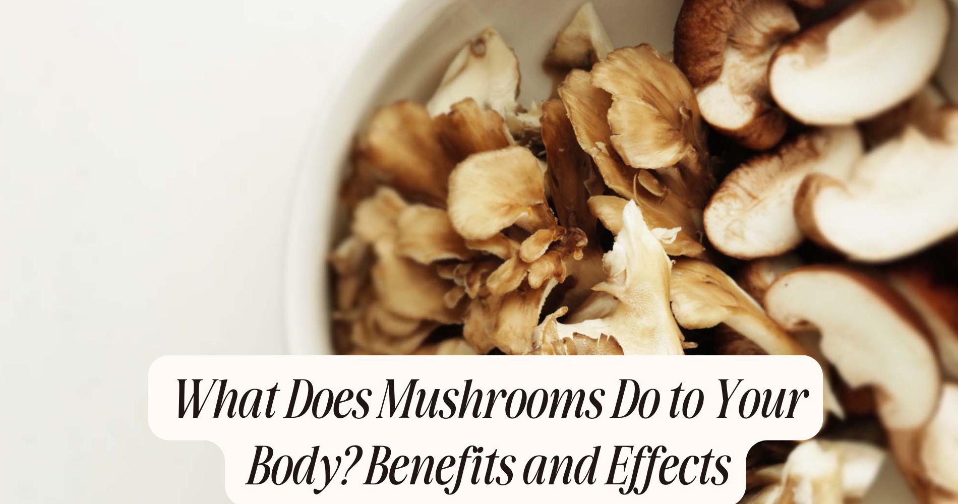 what does mushrooms do to your body