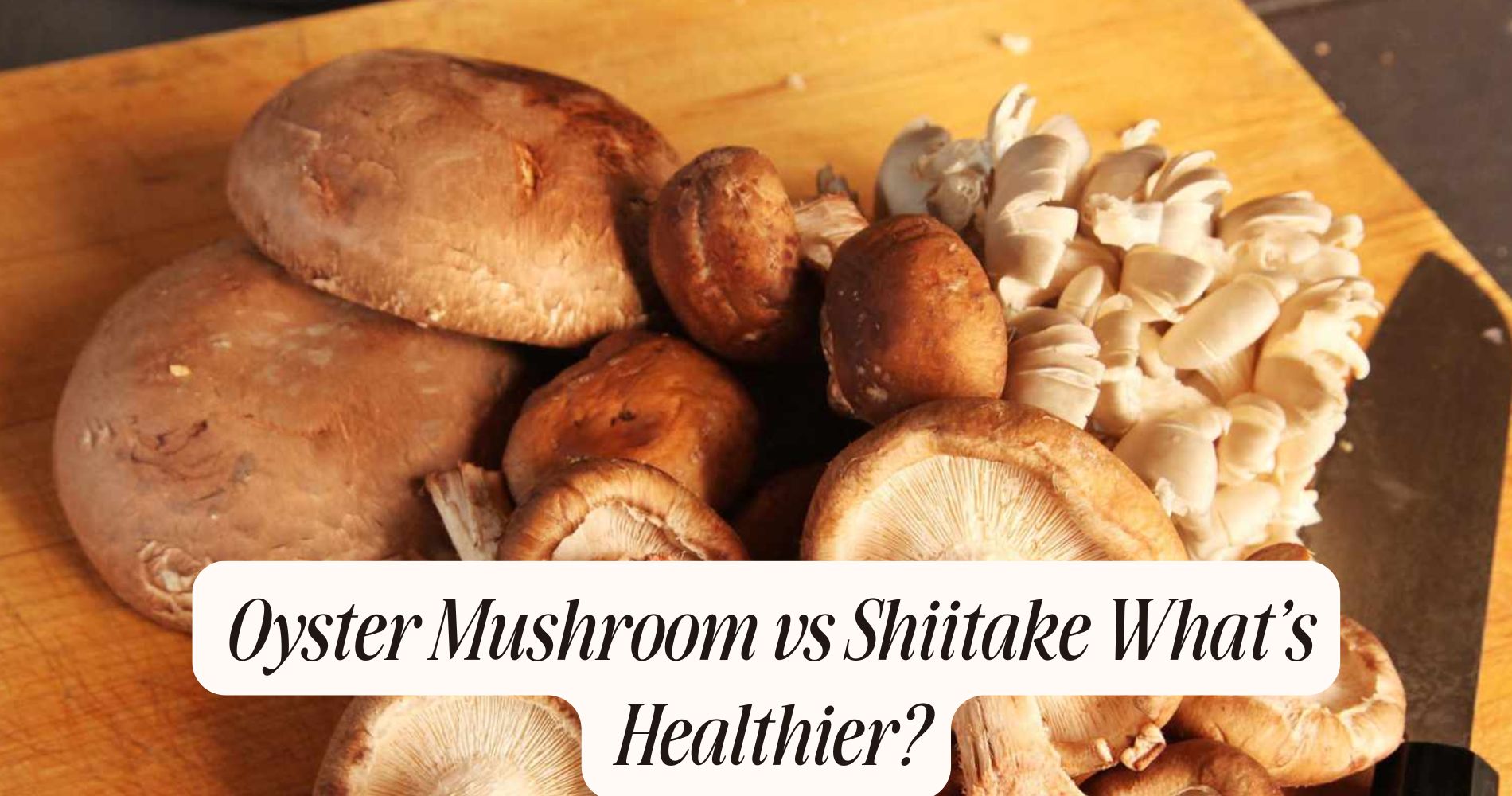 oyster mushroom vs shiitake