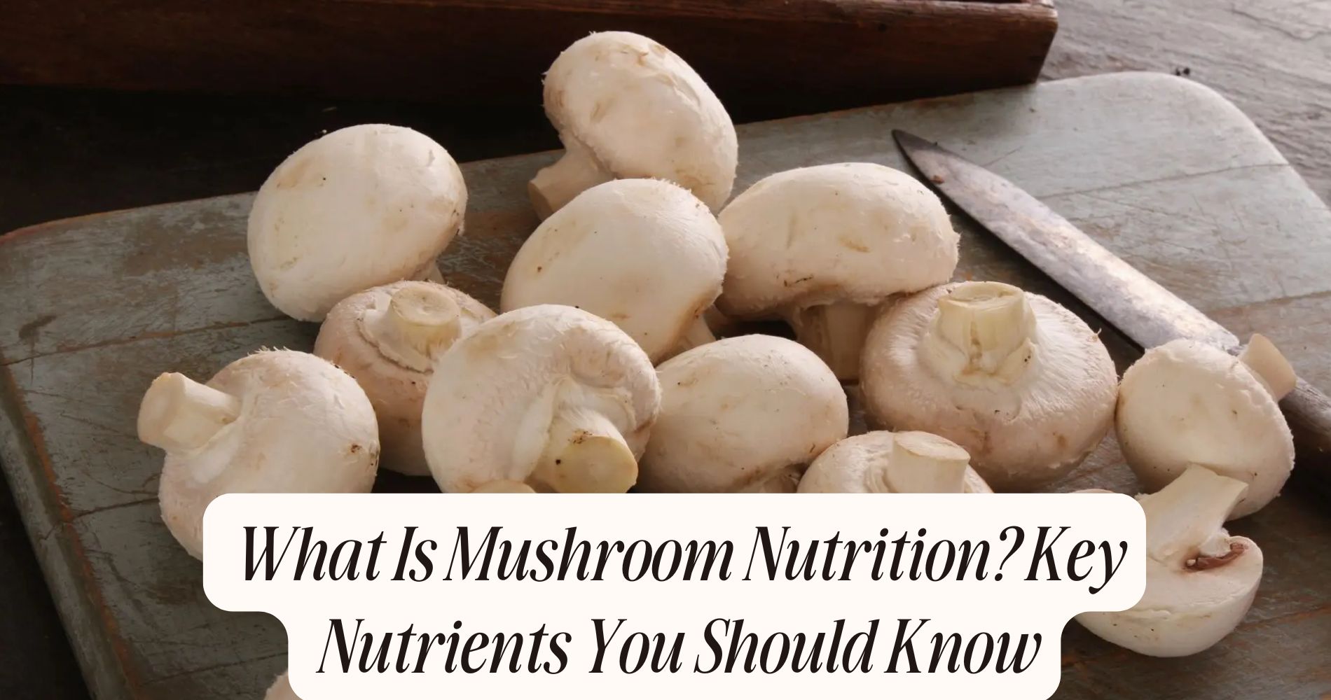 what is mushroom nutrition