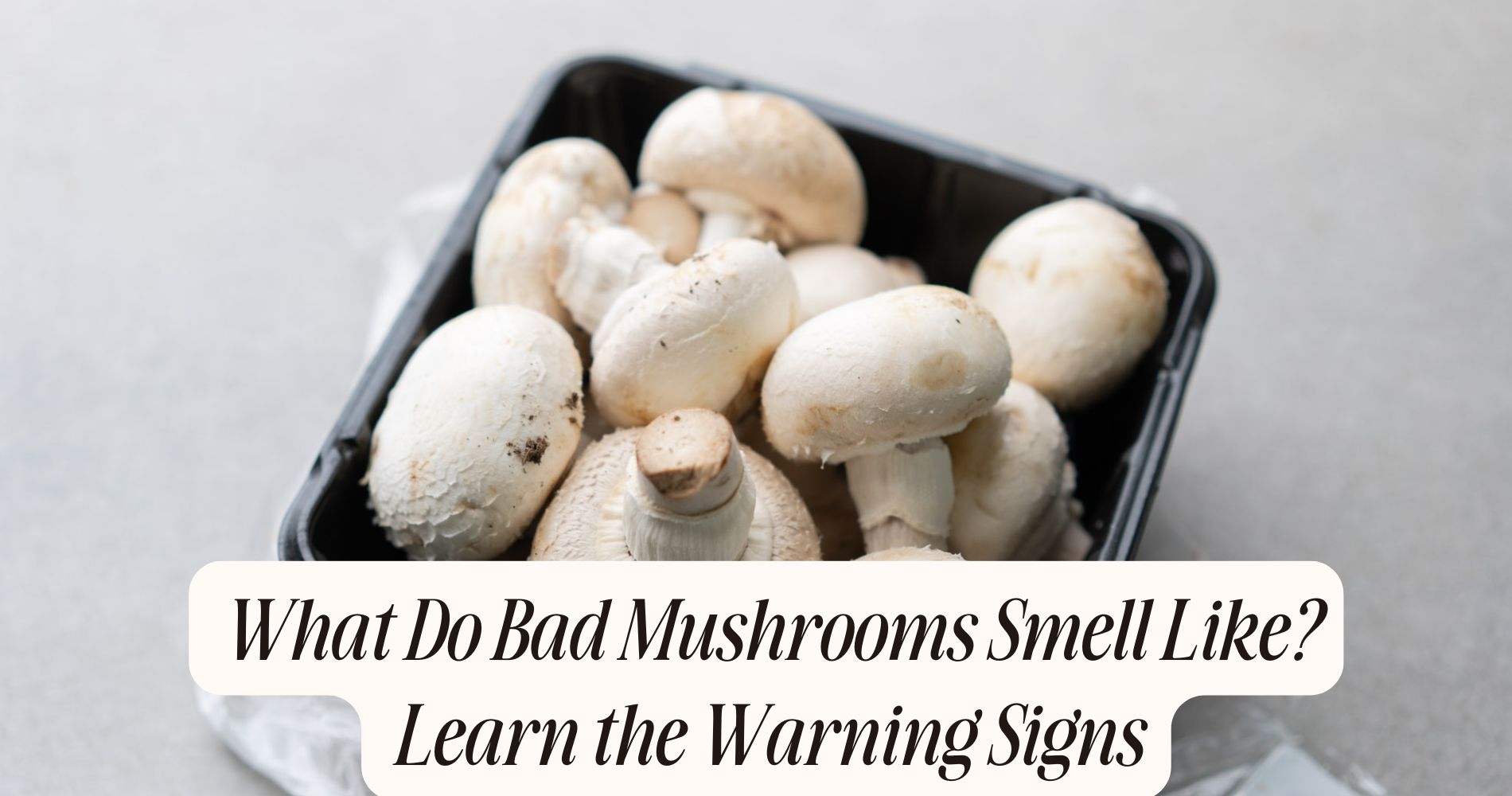 what do bad mushrooms smell like