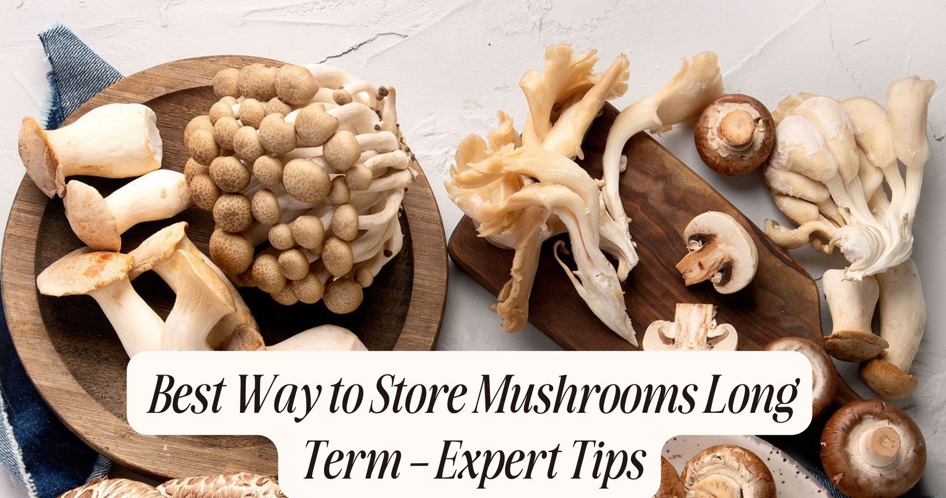 best way to store mushrooms long term