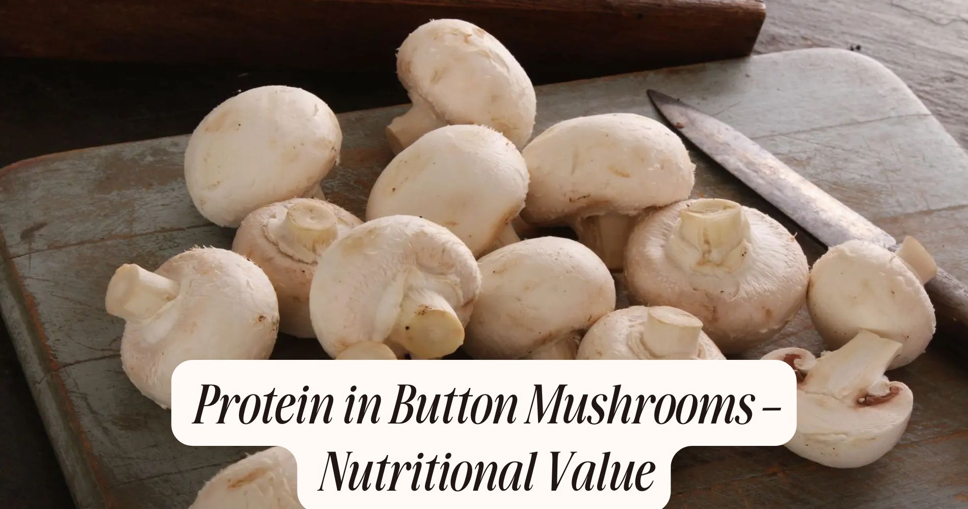 protein in button mushrooms