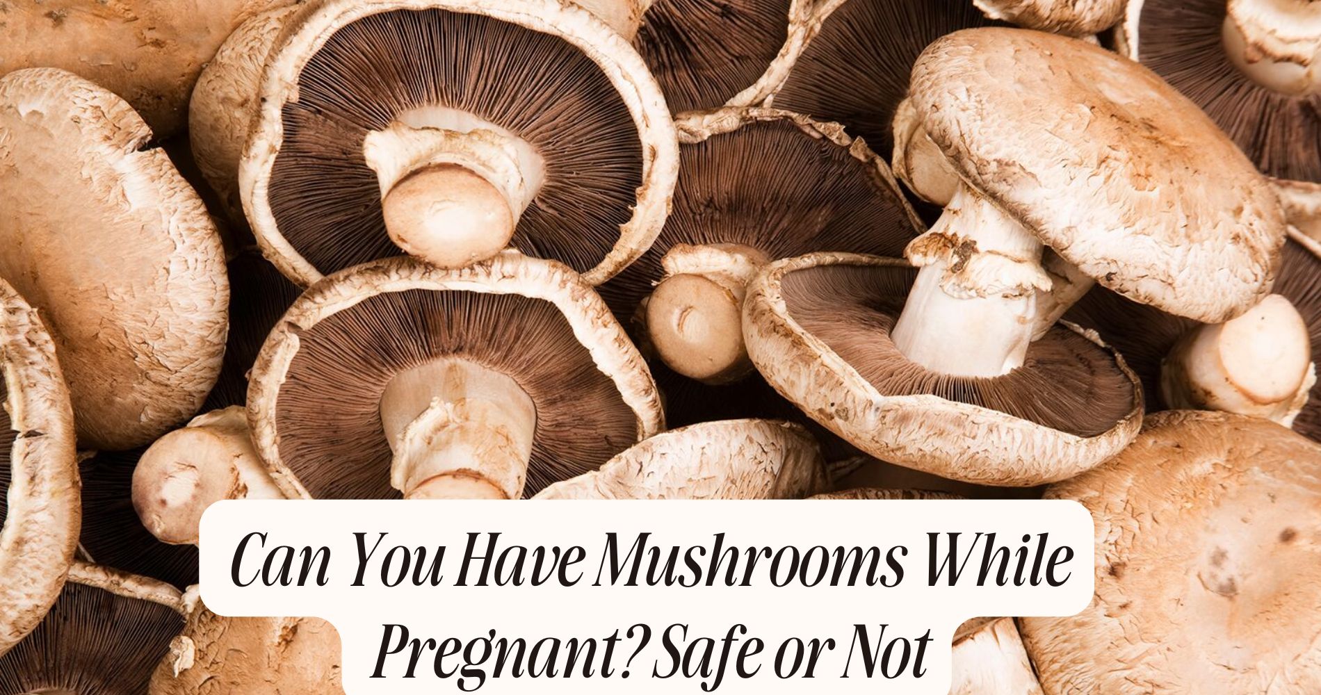 can you have mushrooms while pregnant