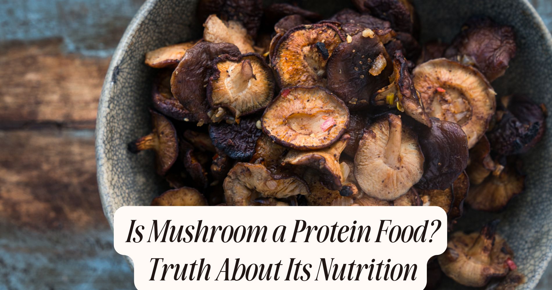 is mushroom a protein food
