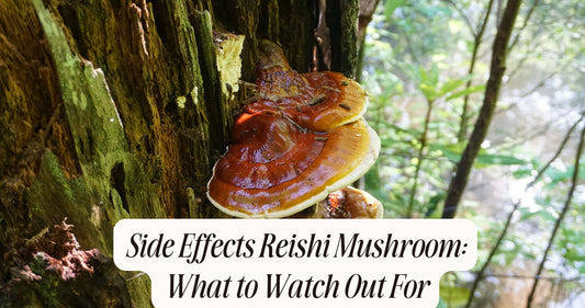 side effects reishi mushroom