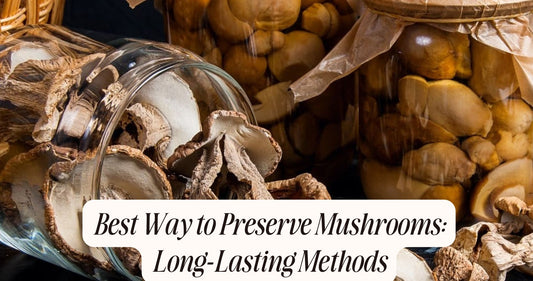 best way to preserve mushrooms