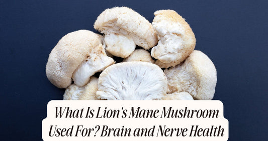 what is lion's mane mushroom used for