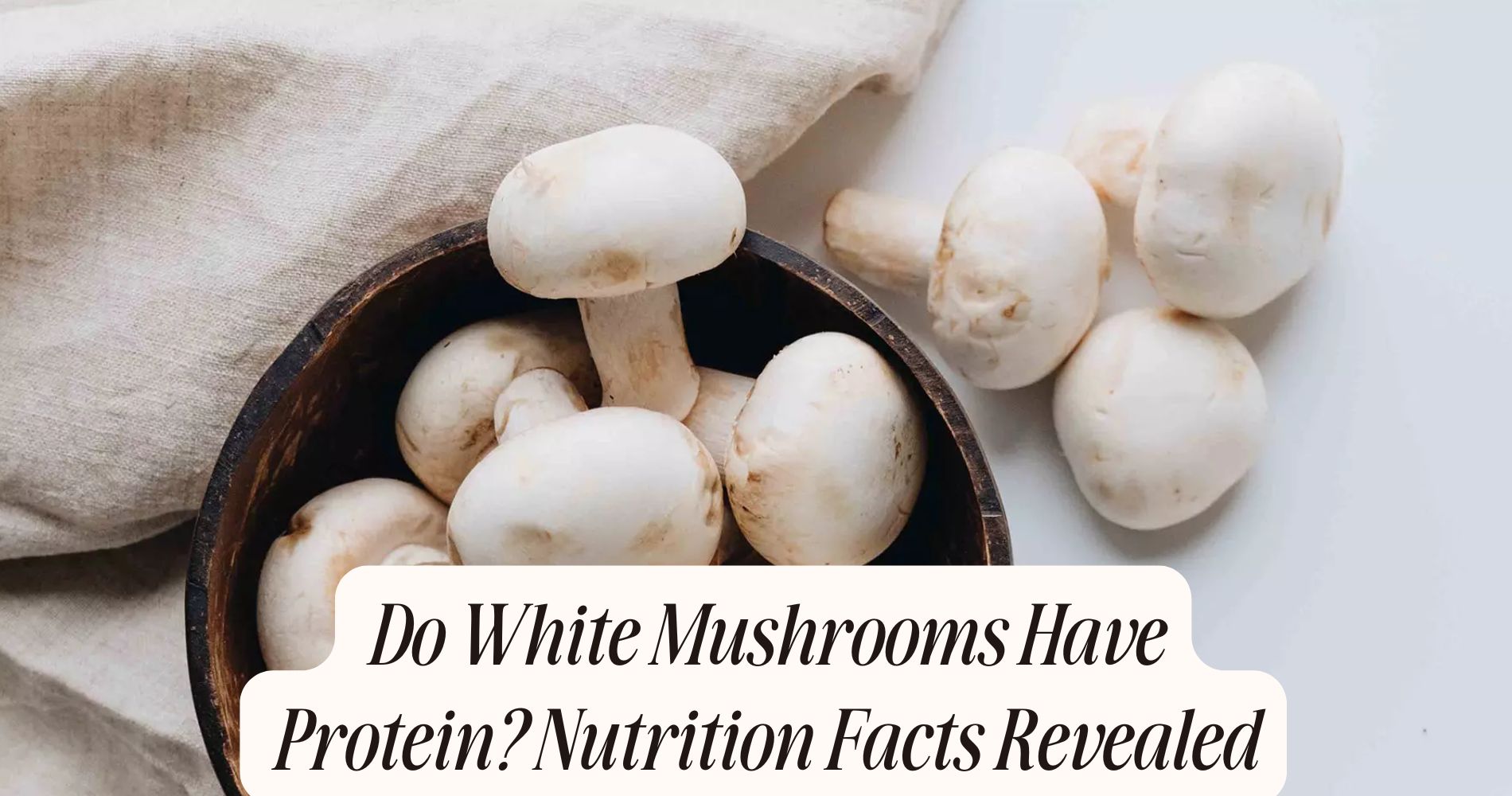 do white mushrooms have protein