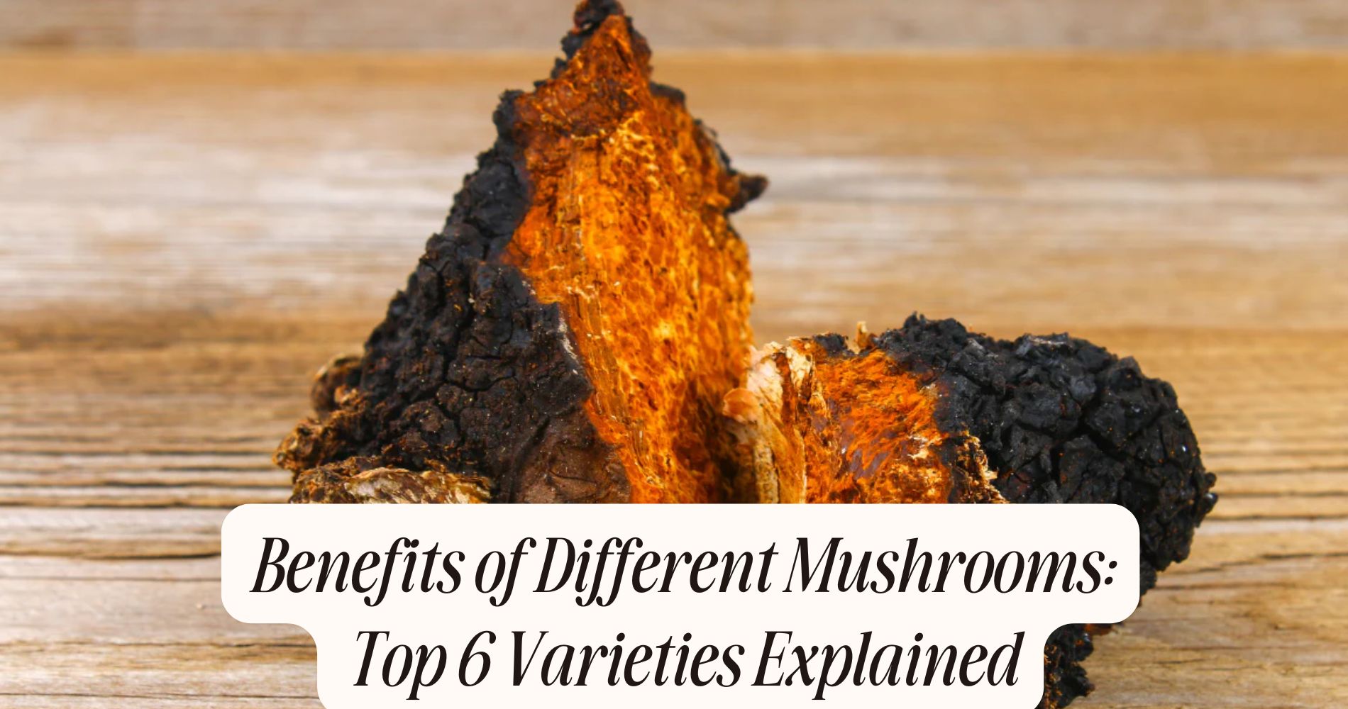 benefits of different mushrooms