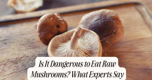 is it dangerous to eat raw mushrooms