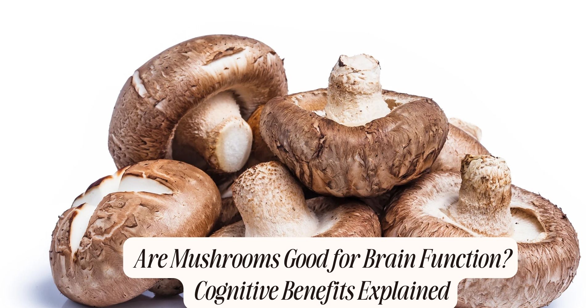 are mushrooms good for brain function